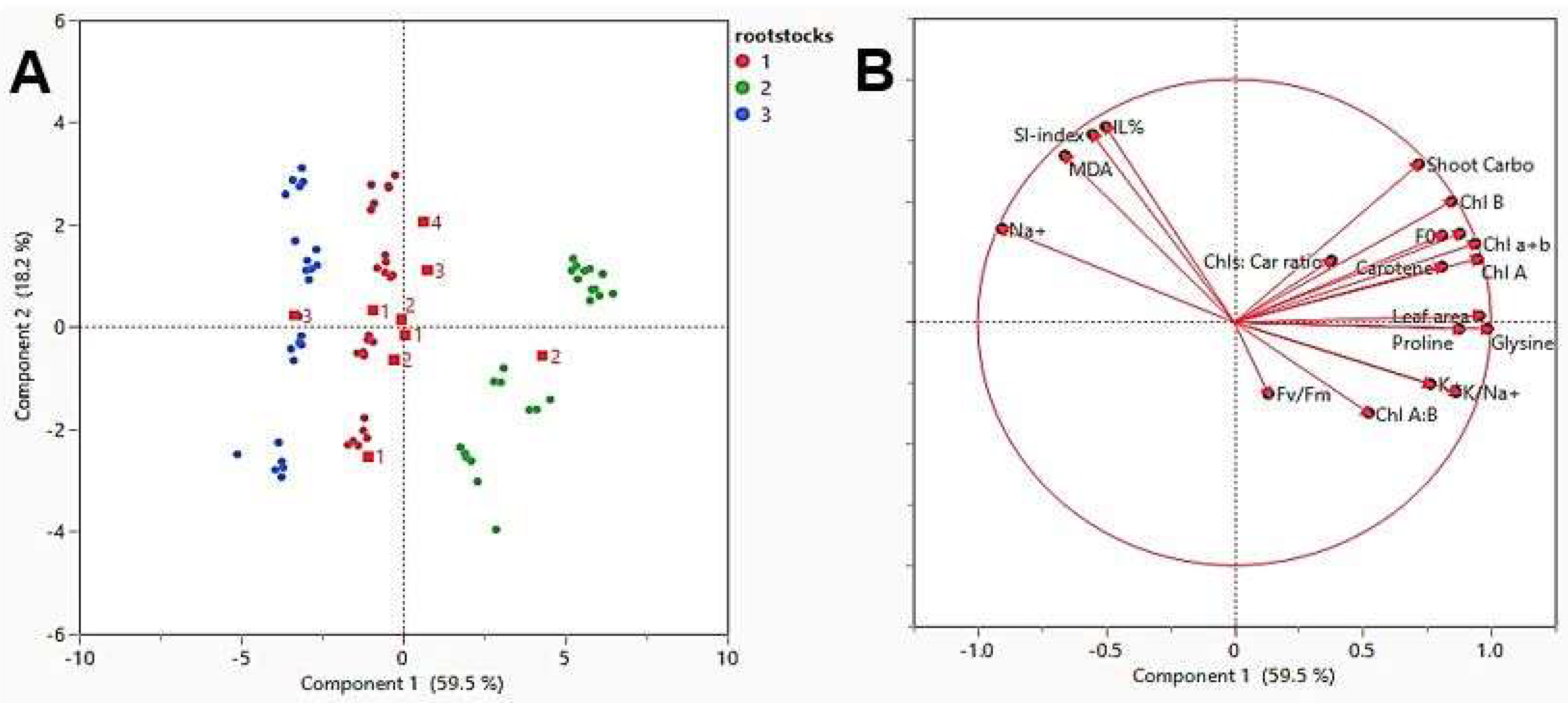 Plants 10 02215 g002