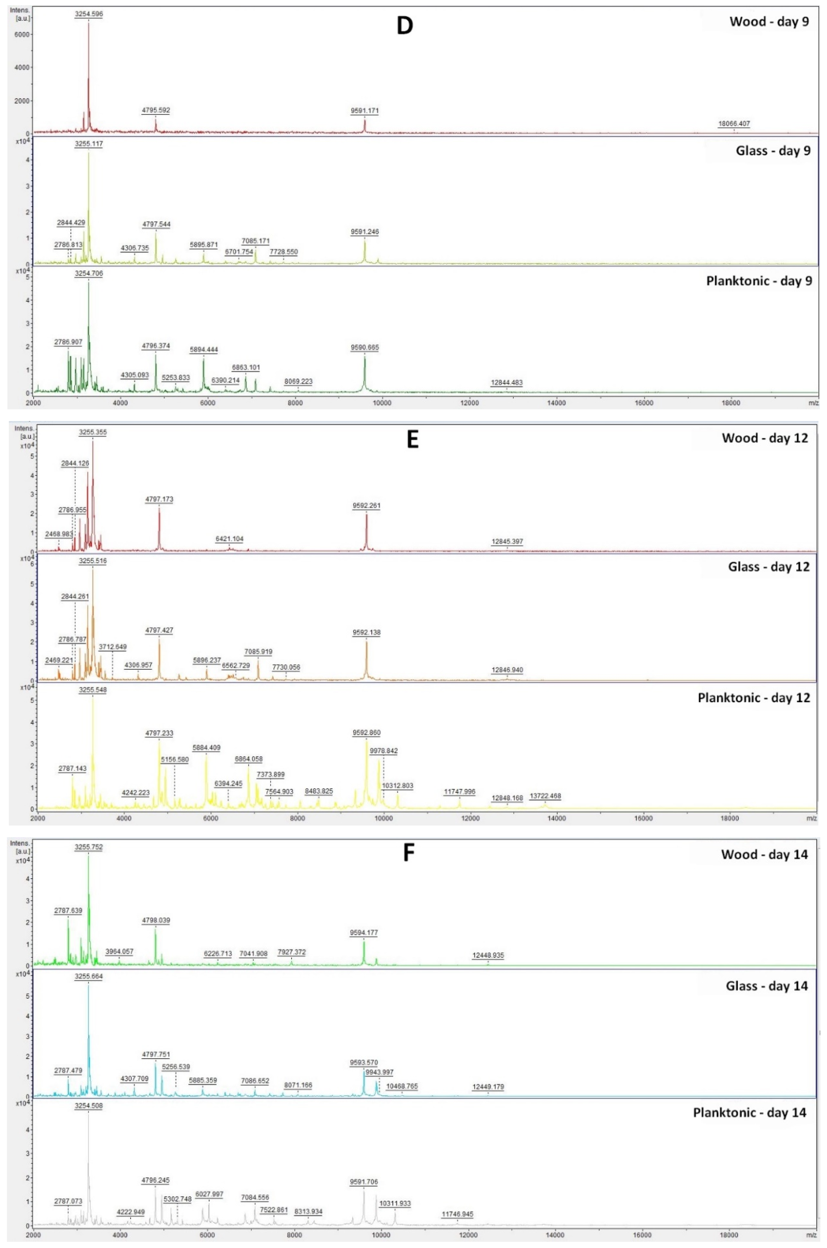 Plants 11 00558 g001b