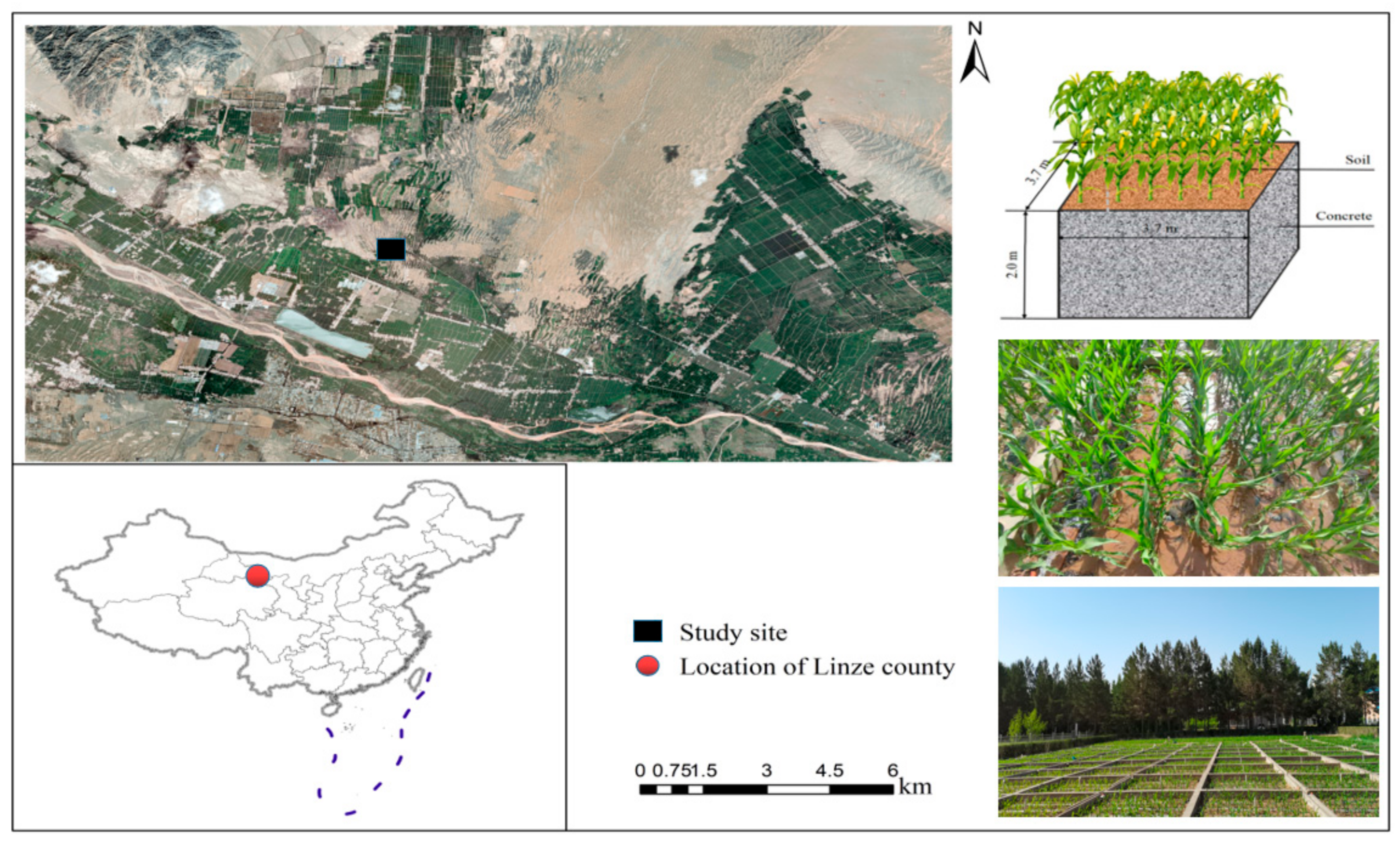 Plants 11 00909 g004
