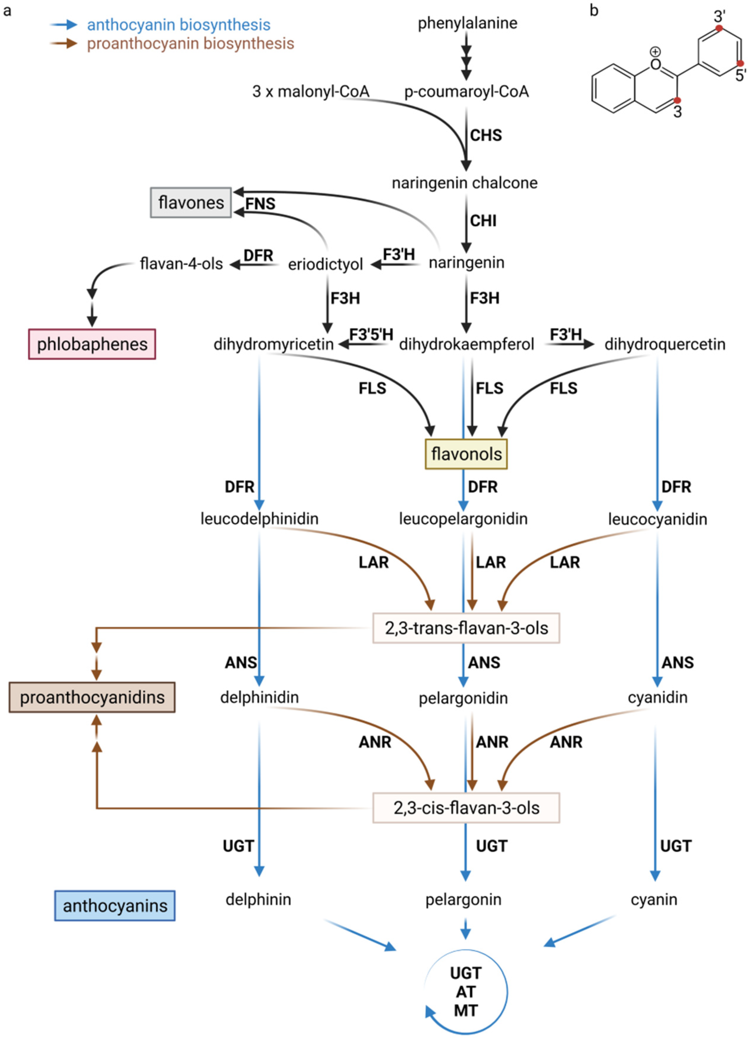 Plants Free Full Text Biochemistry And Molecular Basis Of