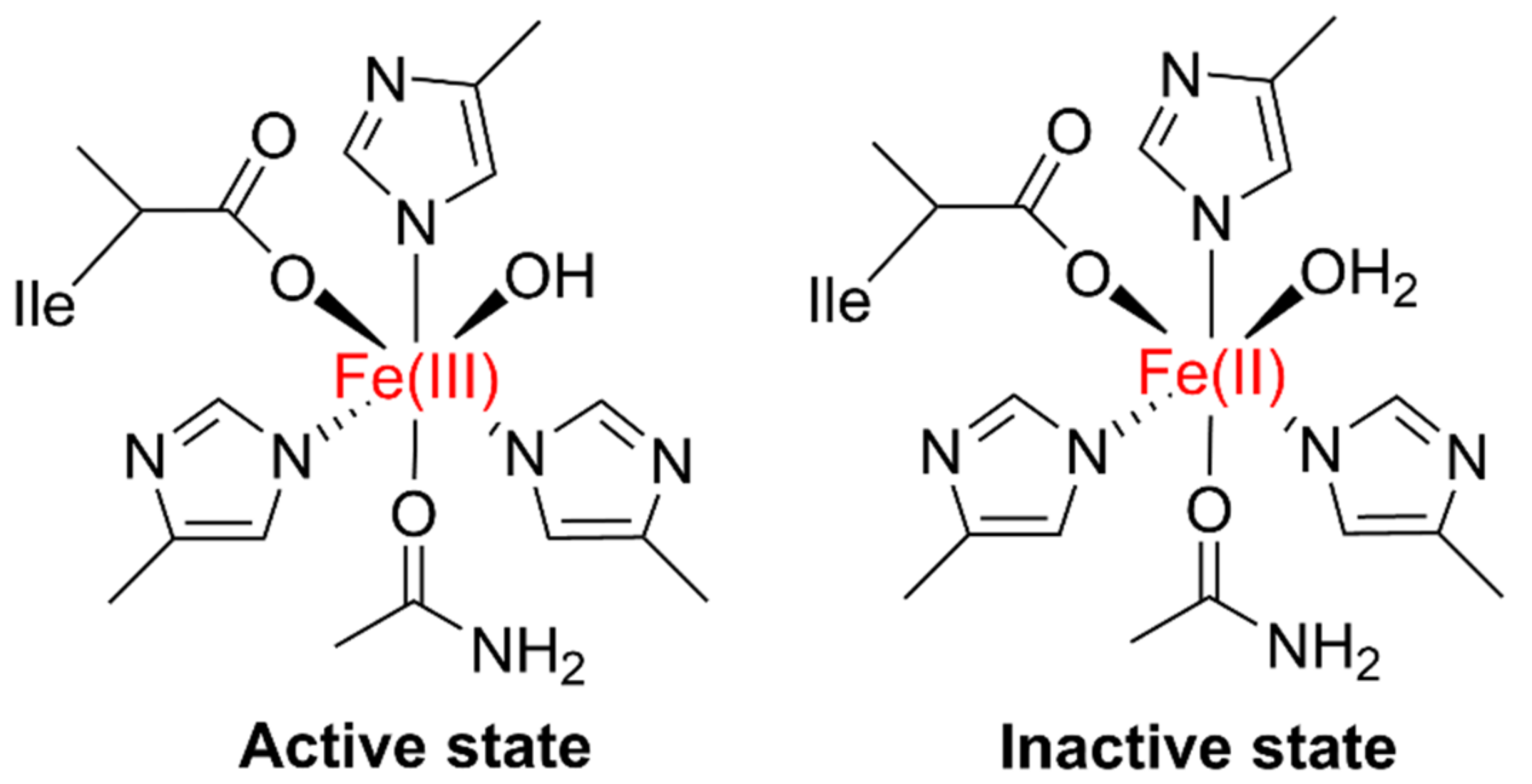 Plants 11 00979 g001