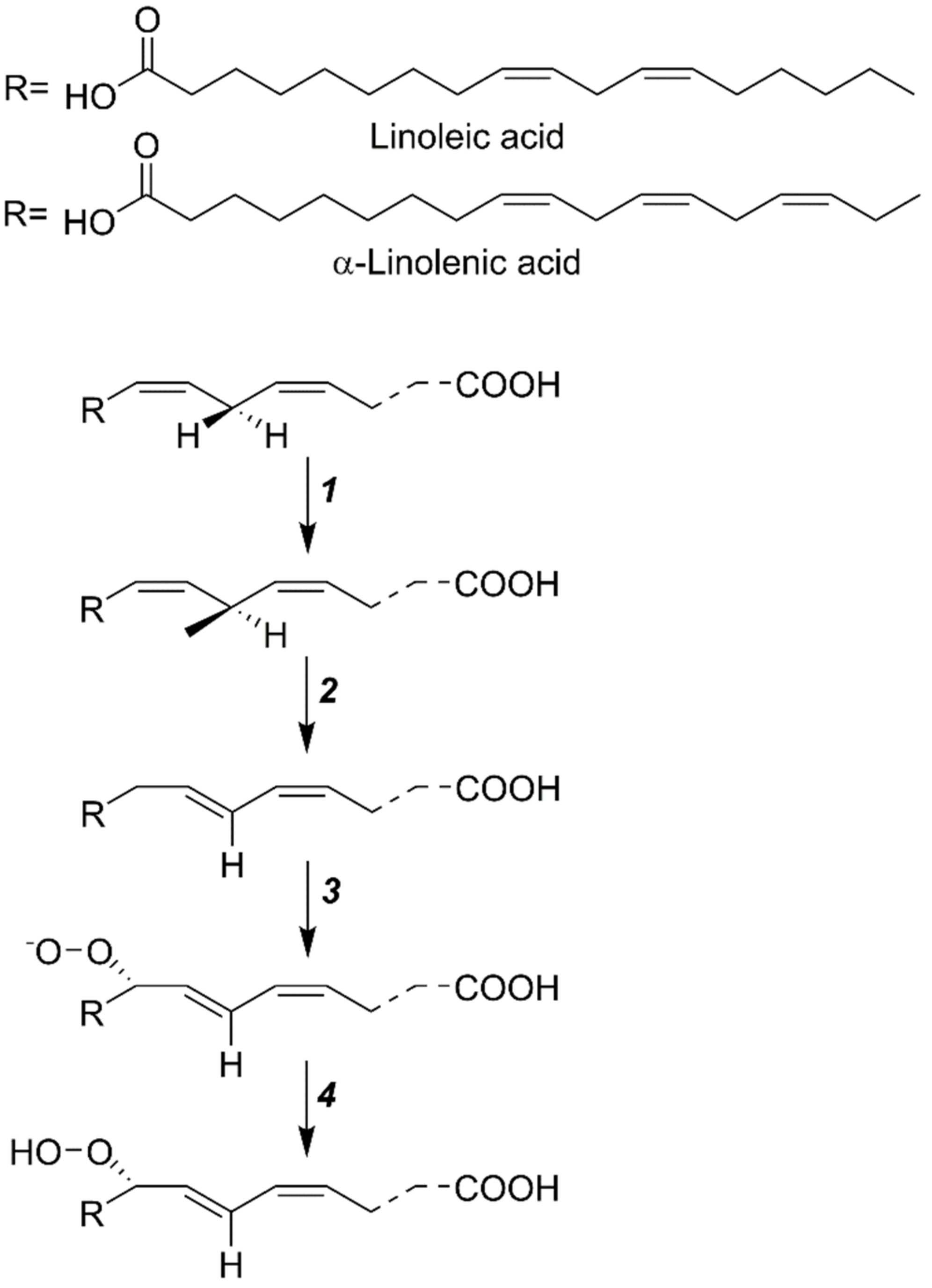 Plants 11 00979 g002