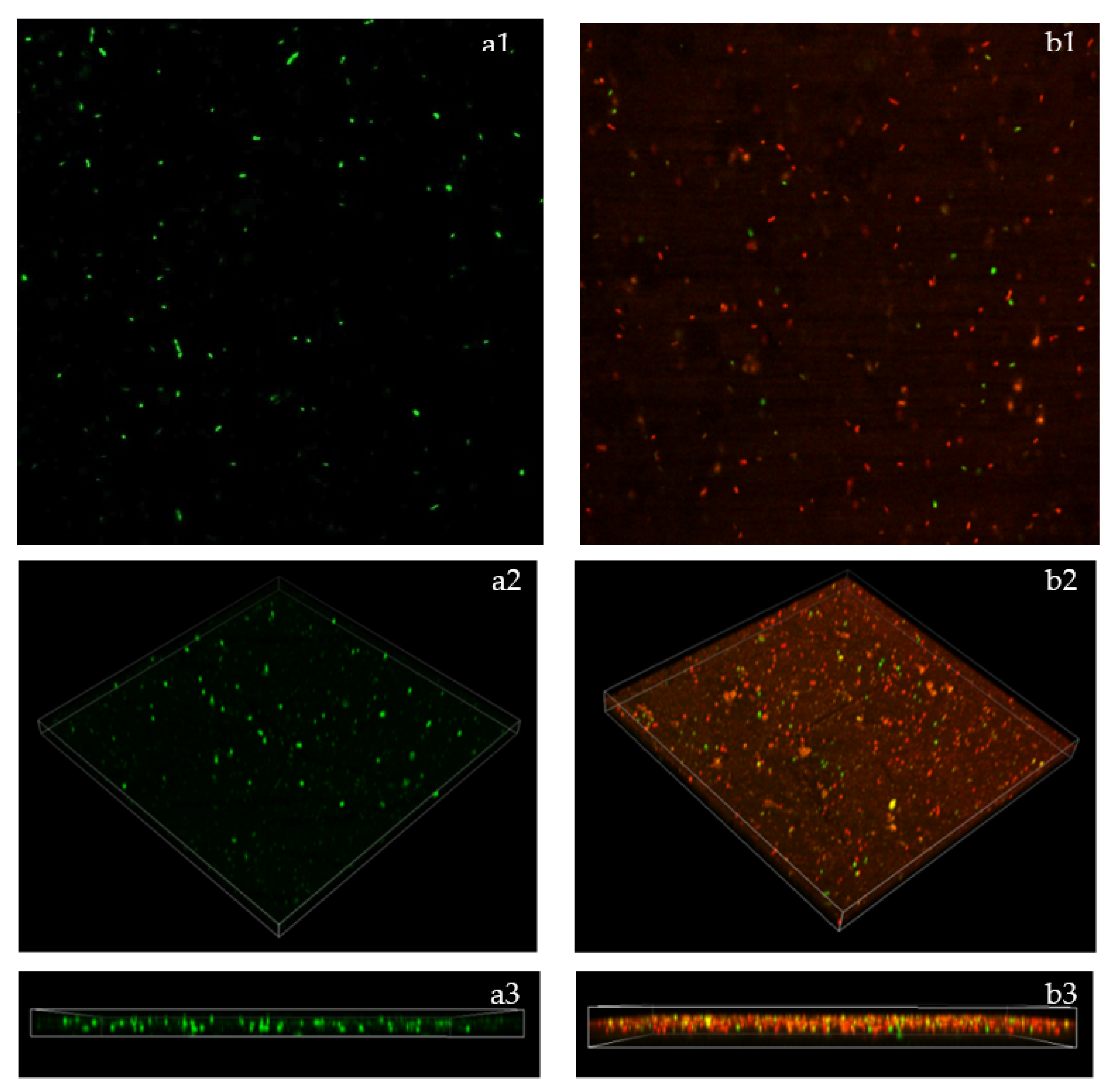 Plants 11 01466 g006