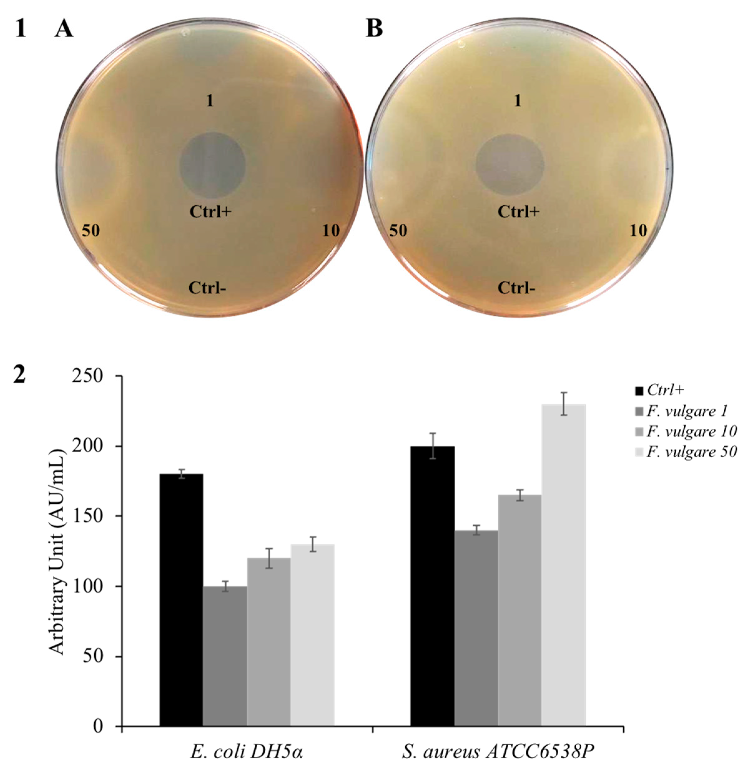 Plants 11 03573 g002
