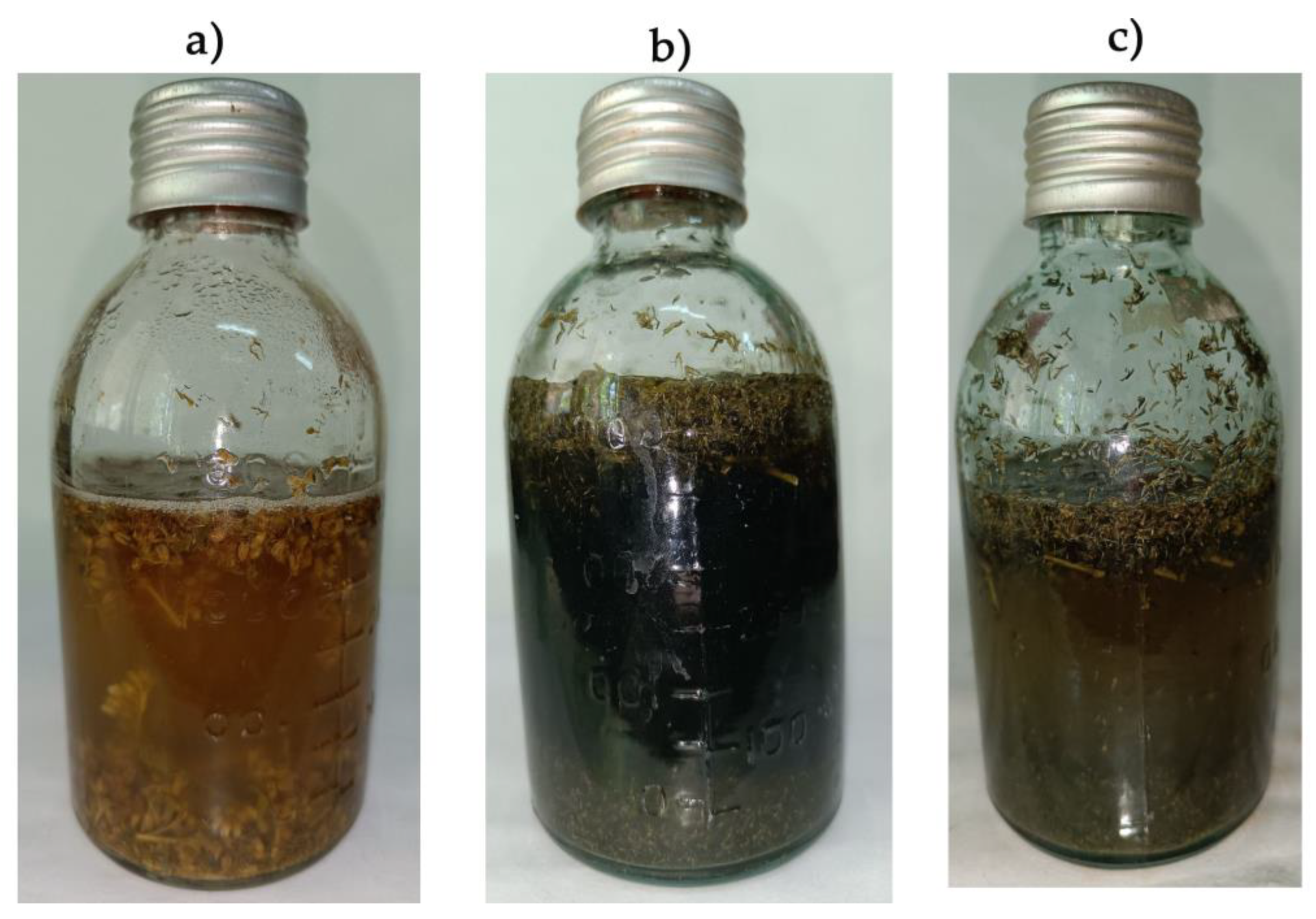 Plants 12 00198 g005