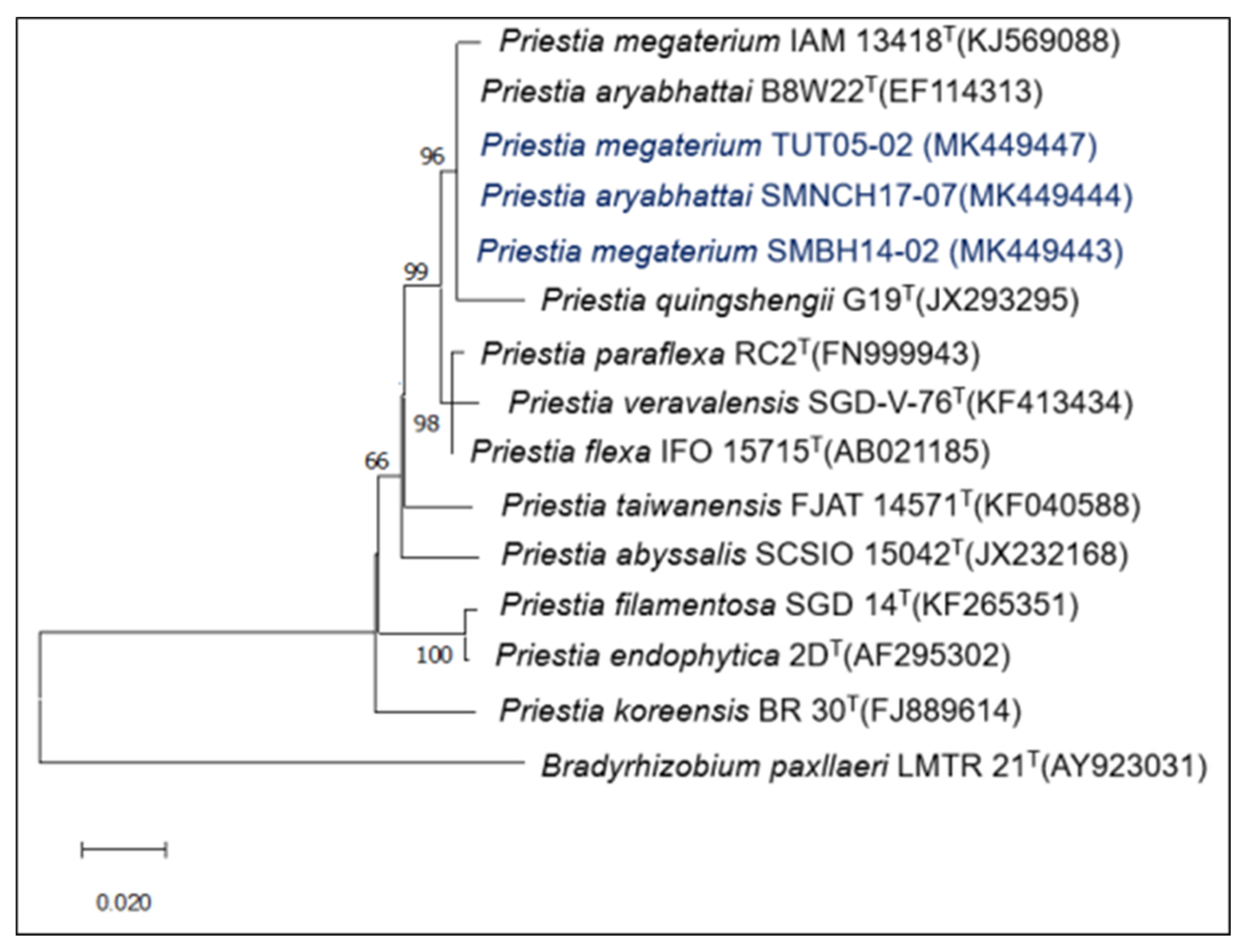 Plants 12 00524 g001