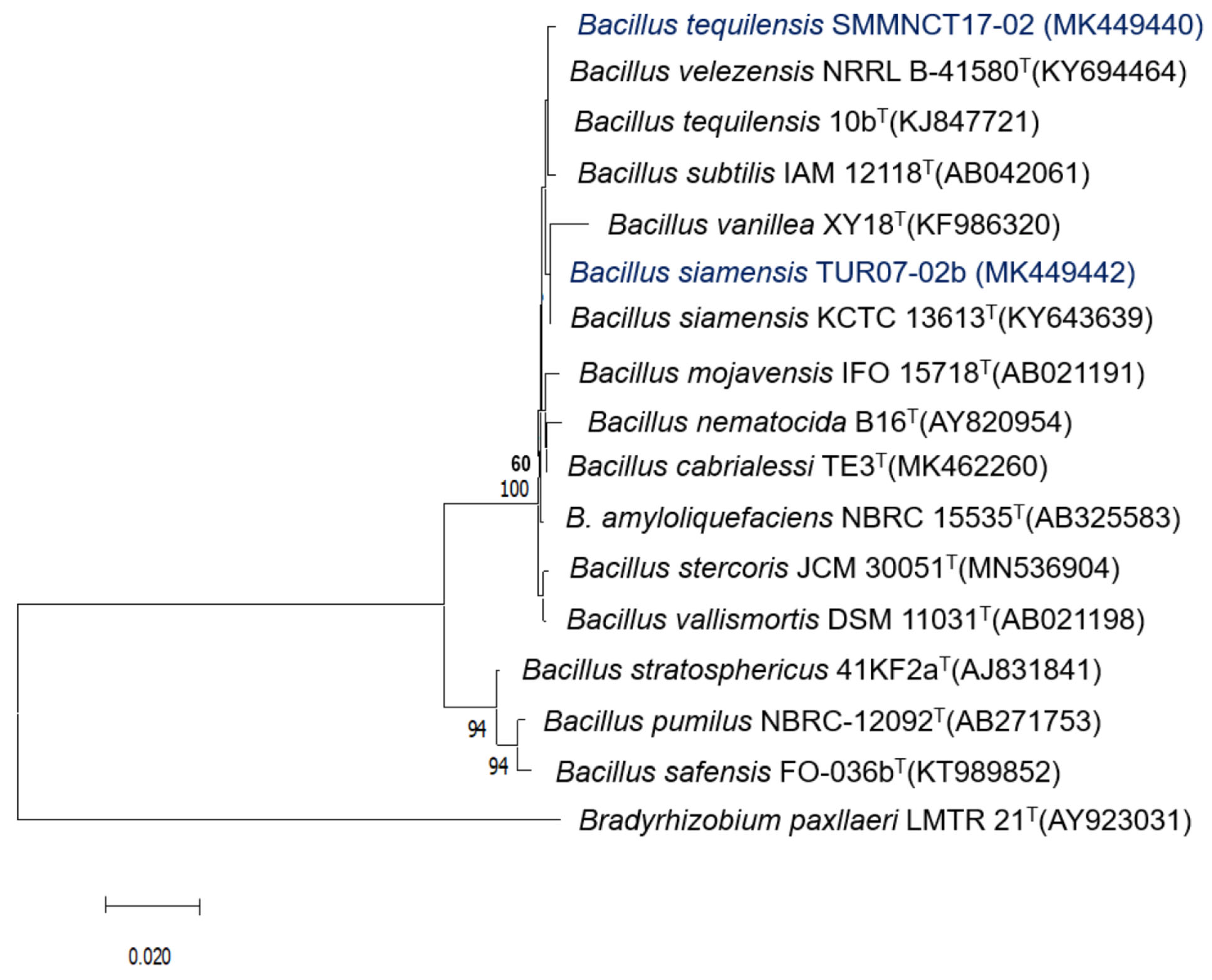 Plants 12 00524 g002