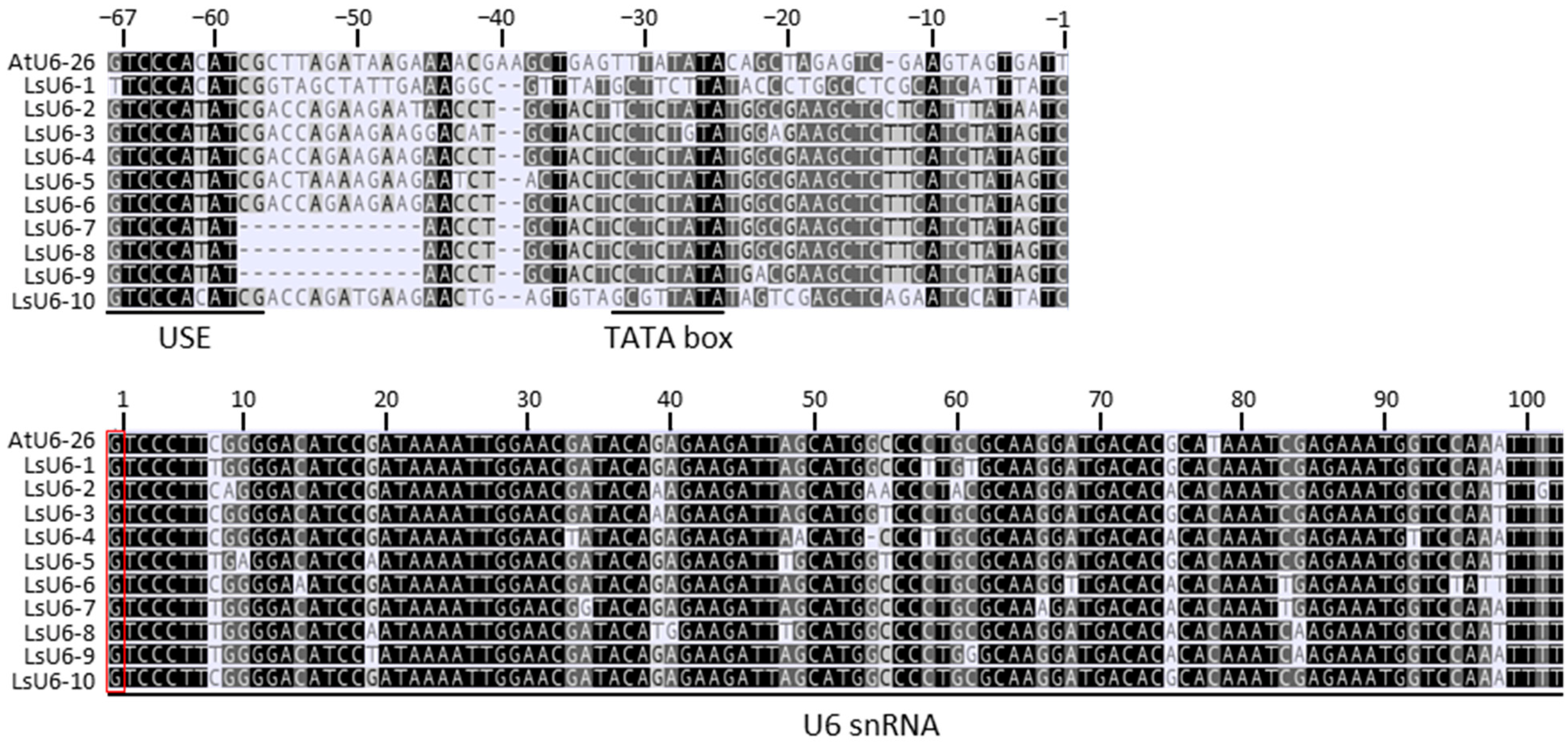 Plants 12 00878 g001