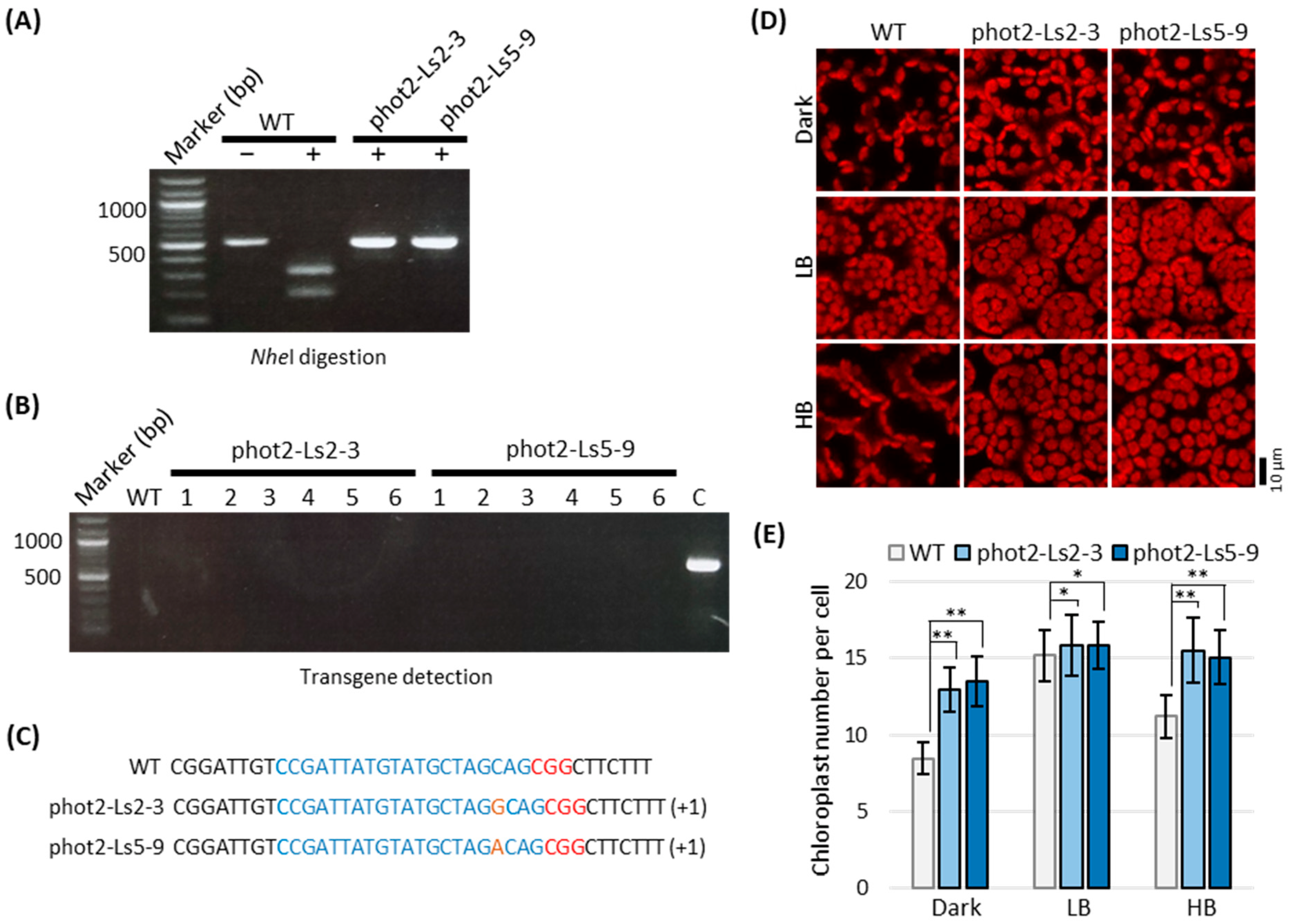 Plants 12 00878 g005