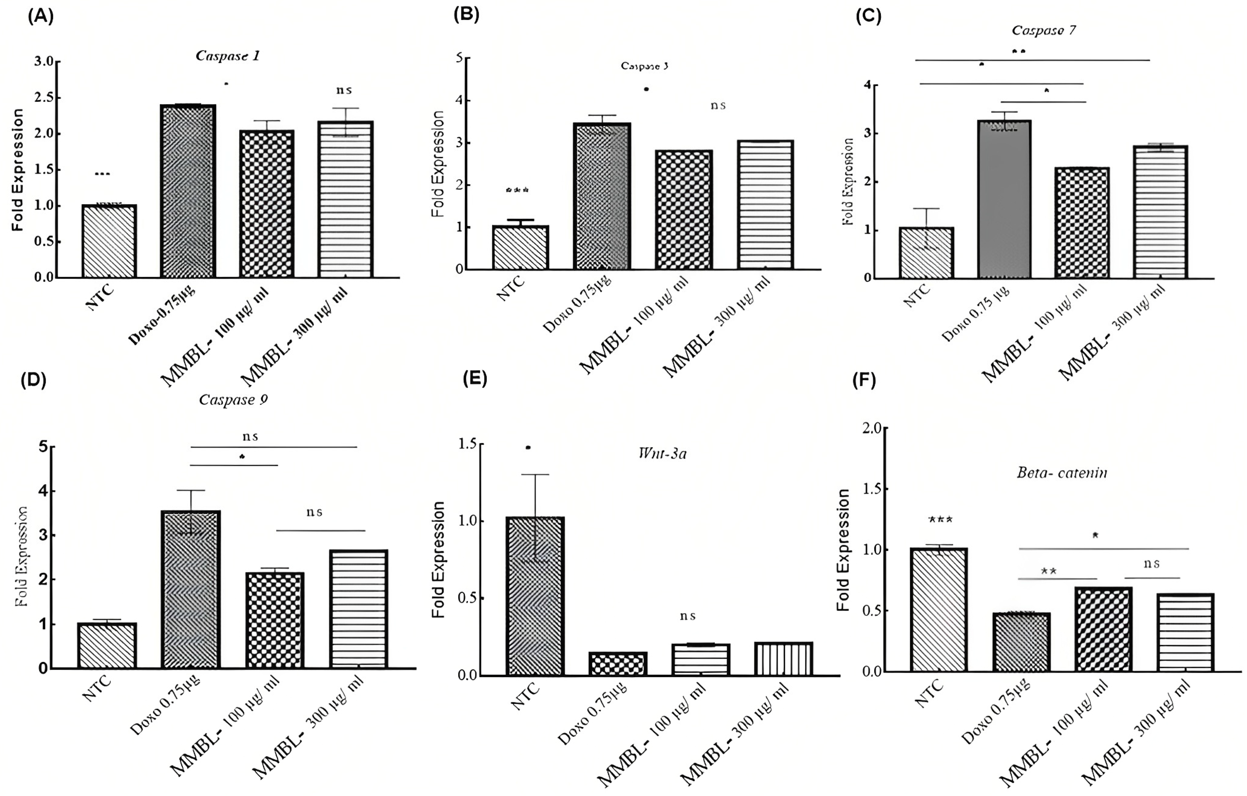 Plants 12 01147 g003