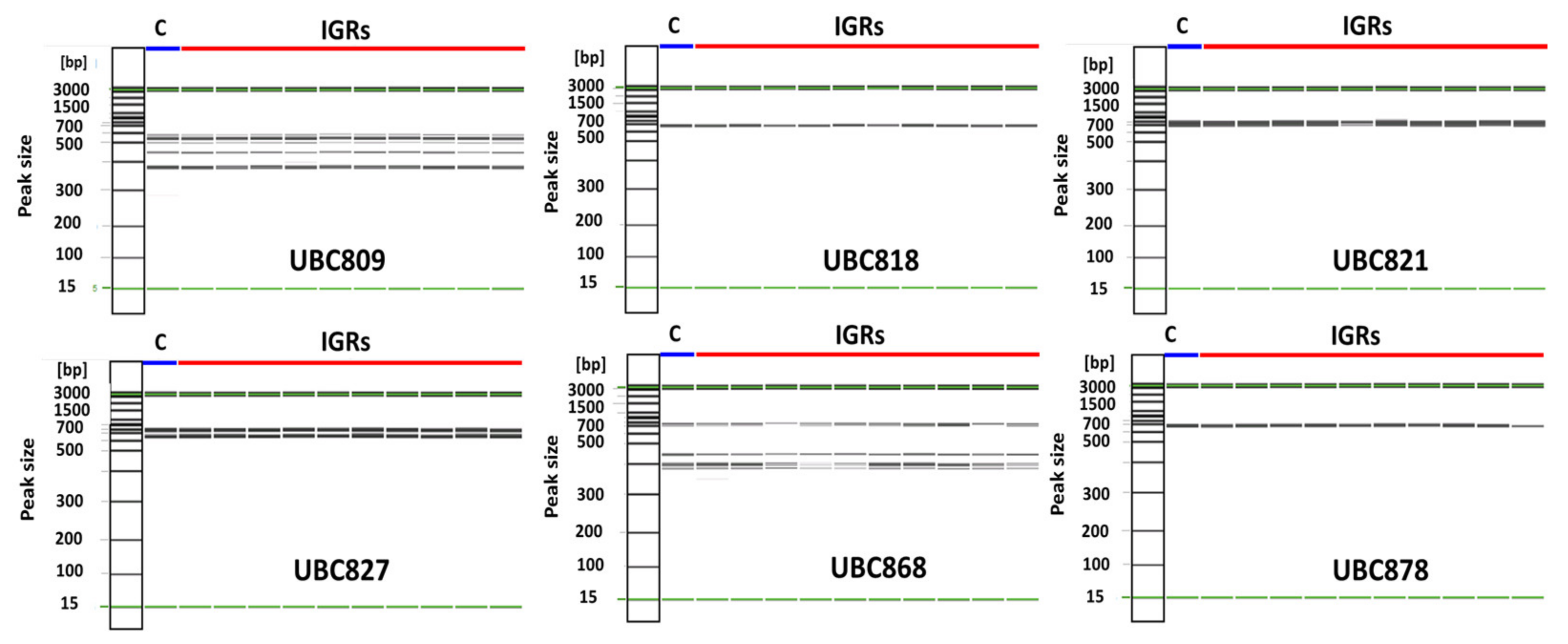 Plants 12 01270 g009 Plants 12 01270 g009