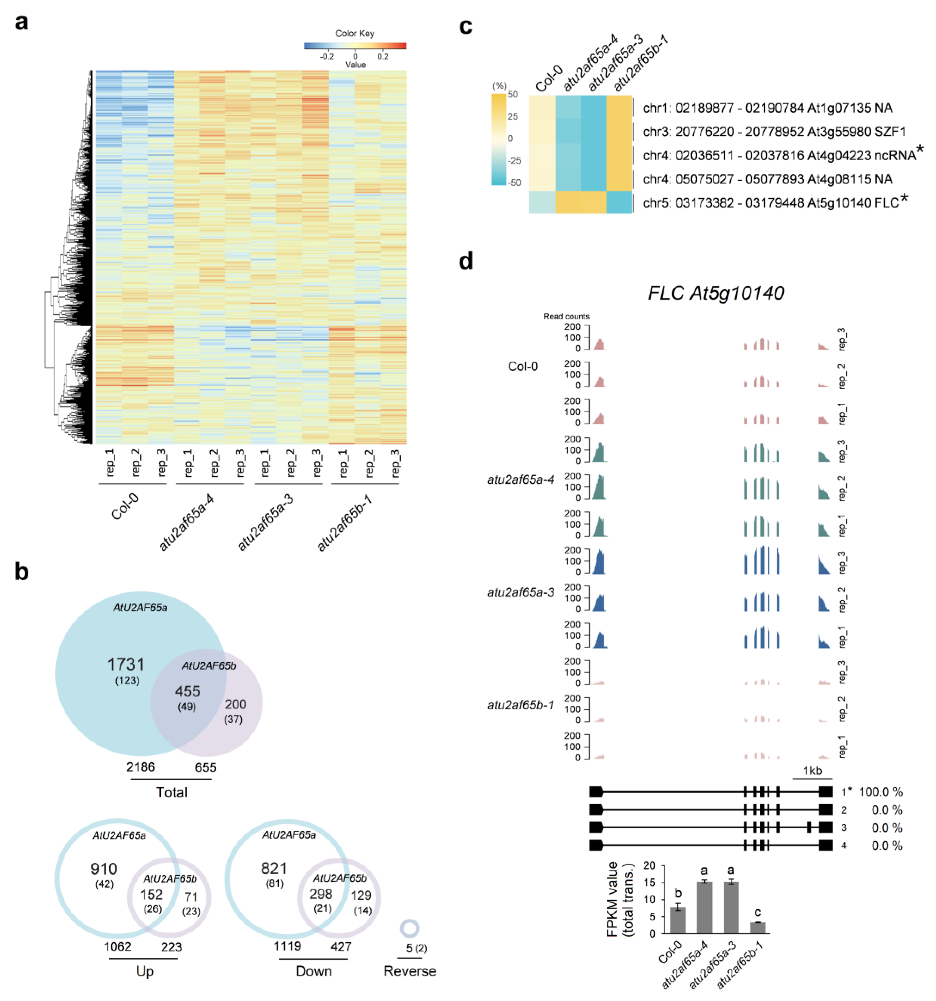 Plants 12 01655 g001
