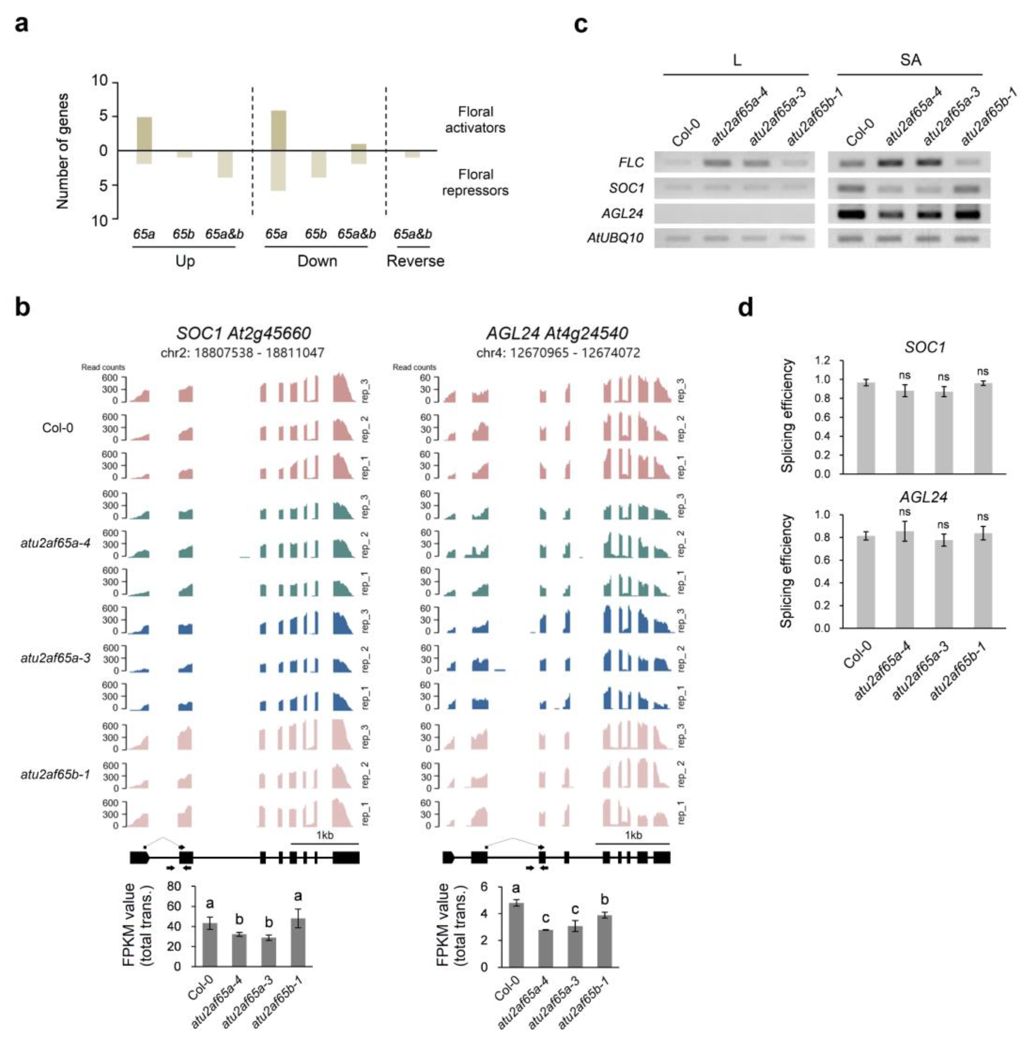 Plants 12 01655 g002
