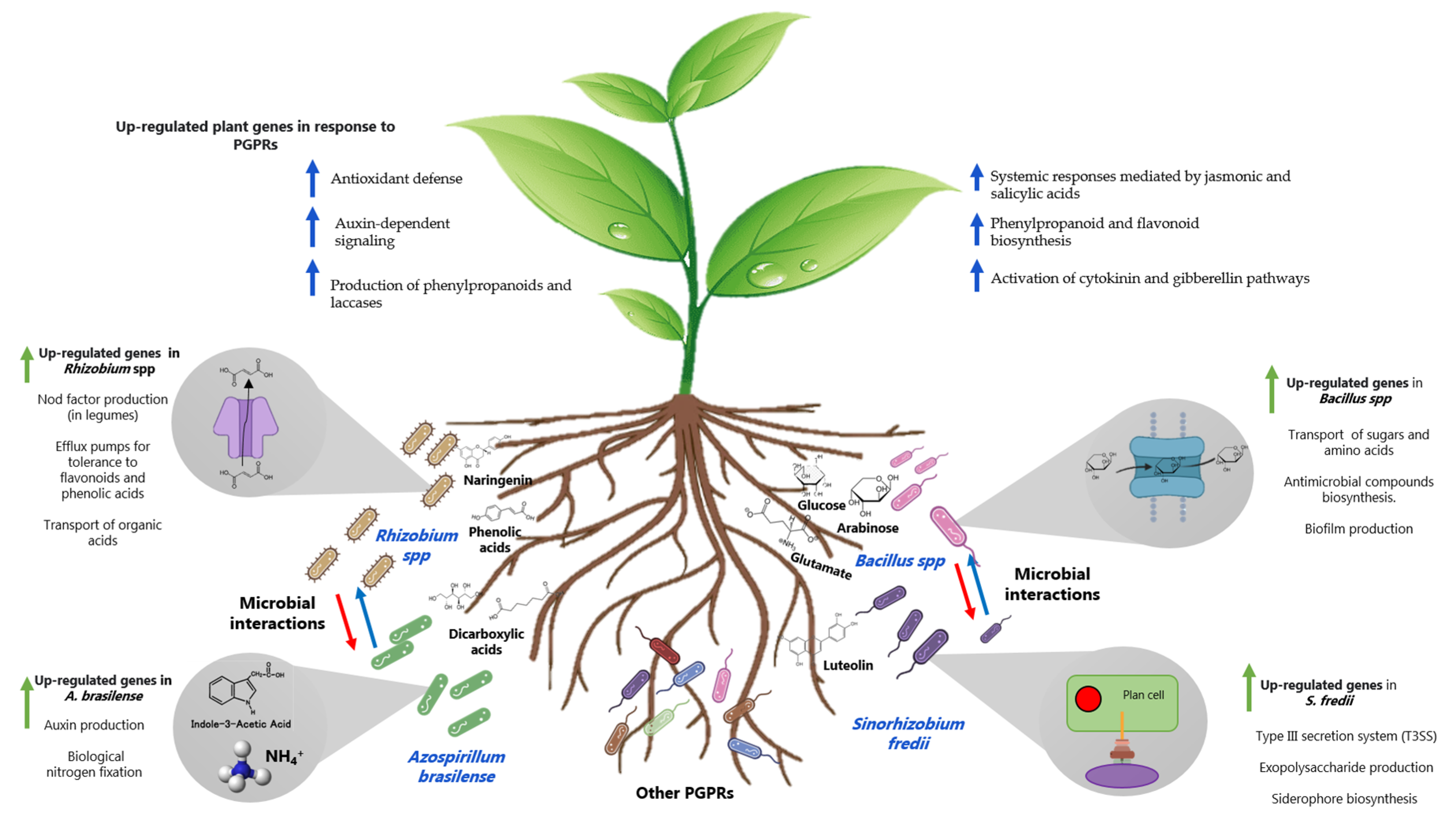Plants 12 01668 g002