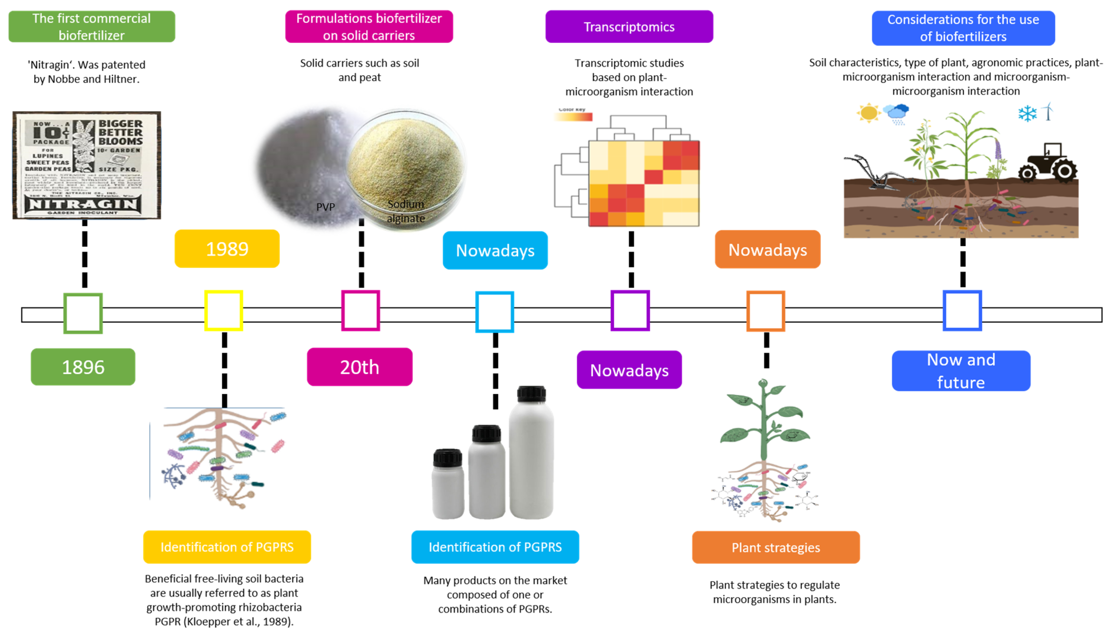 Plants 12 01668 g003