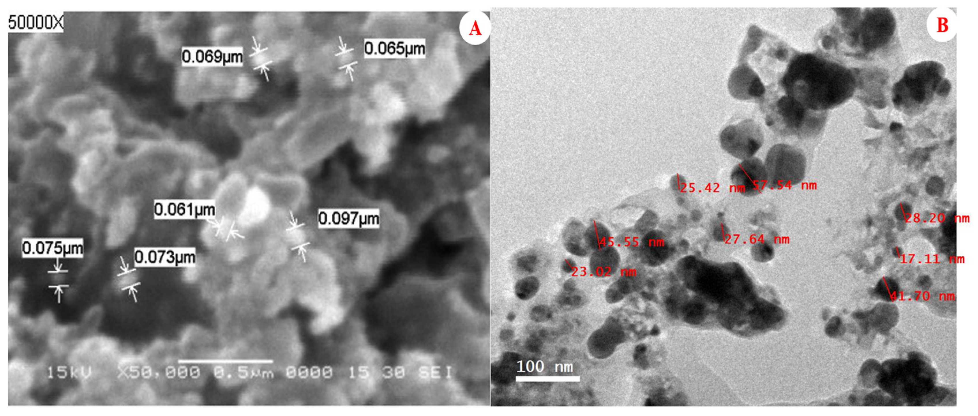 Plants 12 02103 g001