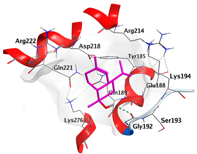 Plants 12 02475 i008