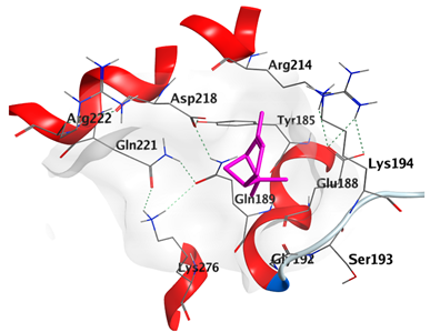 Plants 12 02475 i010