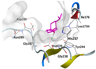 Plants 12 02475 i013