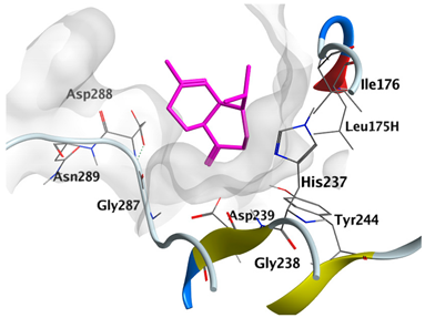 Plants 12 02475 i014