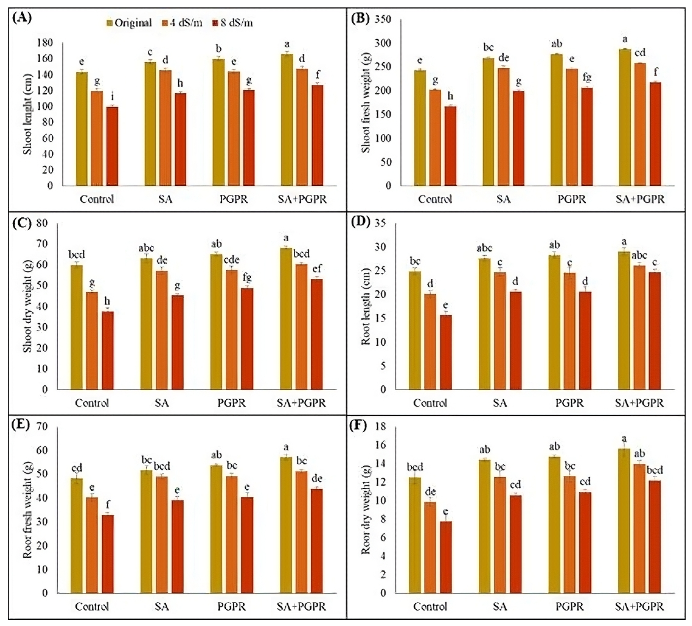 Plants 12 02519 g001