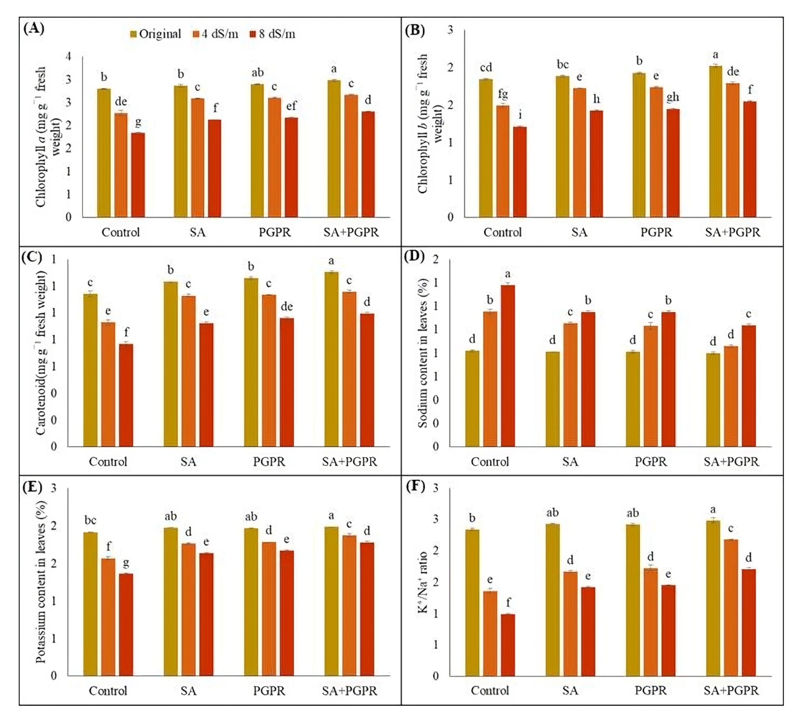 Plants 12 02519 g003