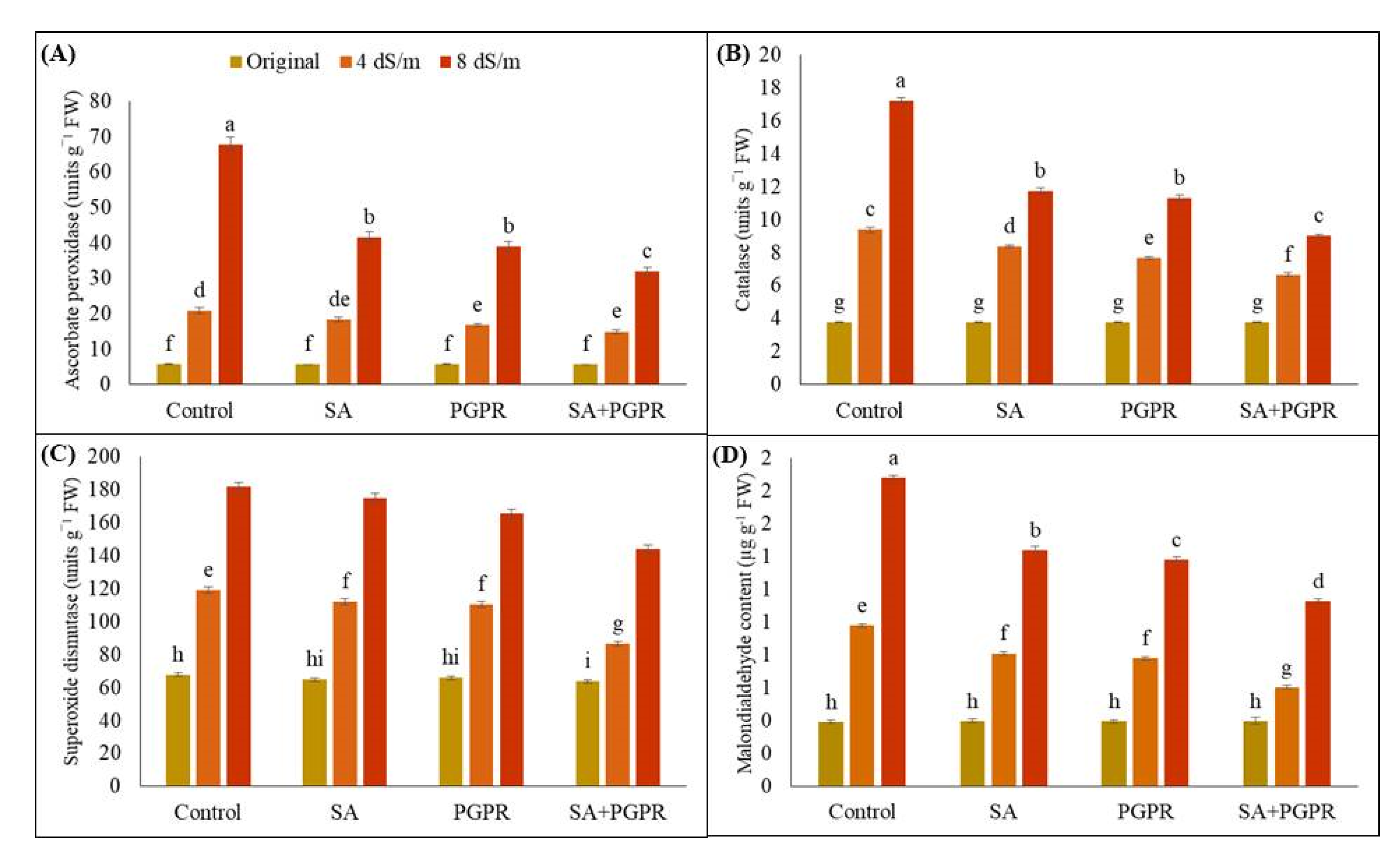 Plants 12 02519 g004