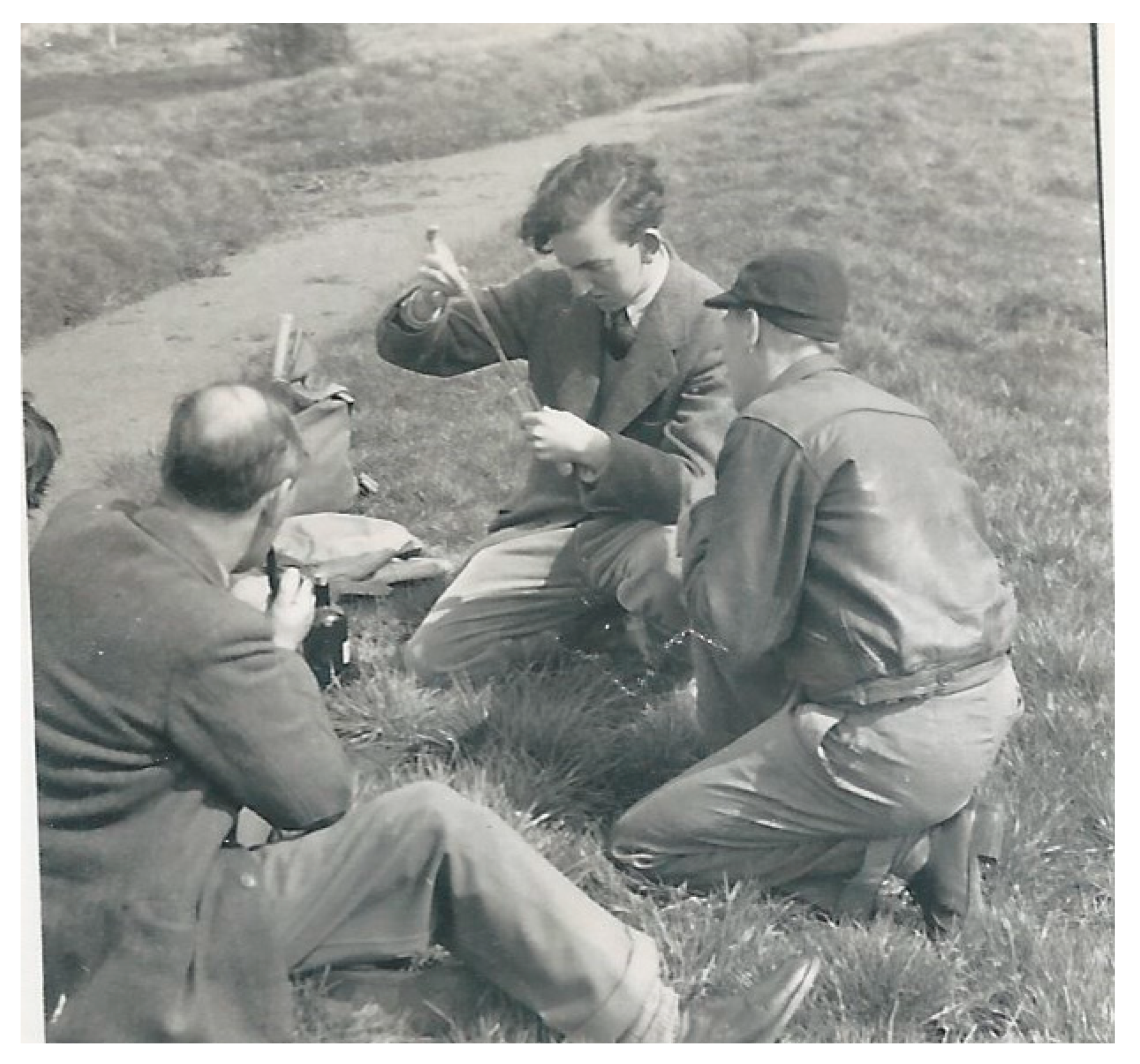 Plants 12 02531 g003