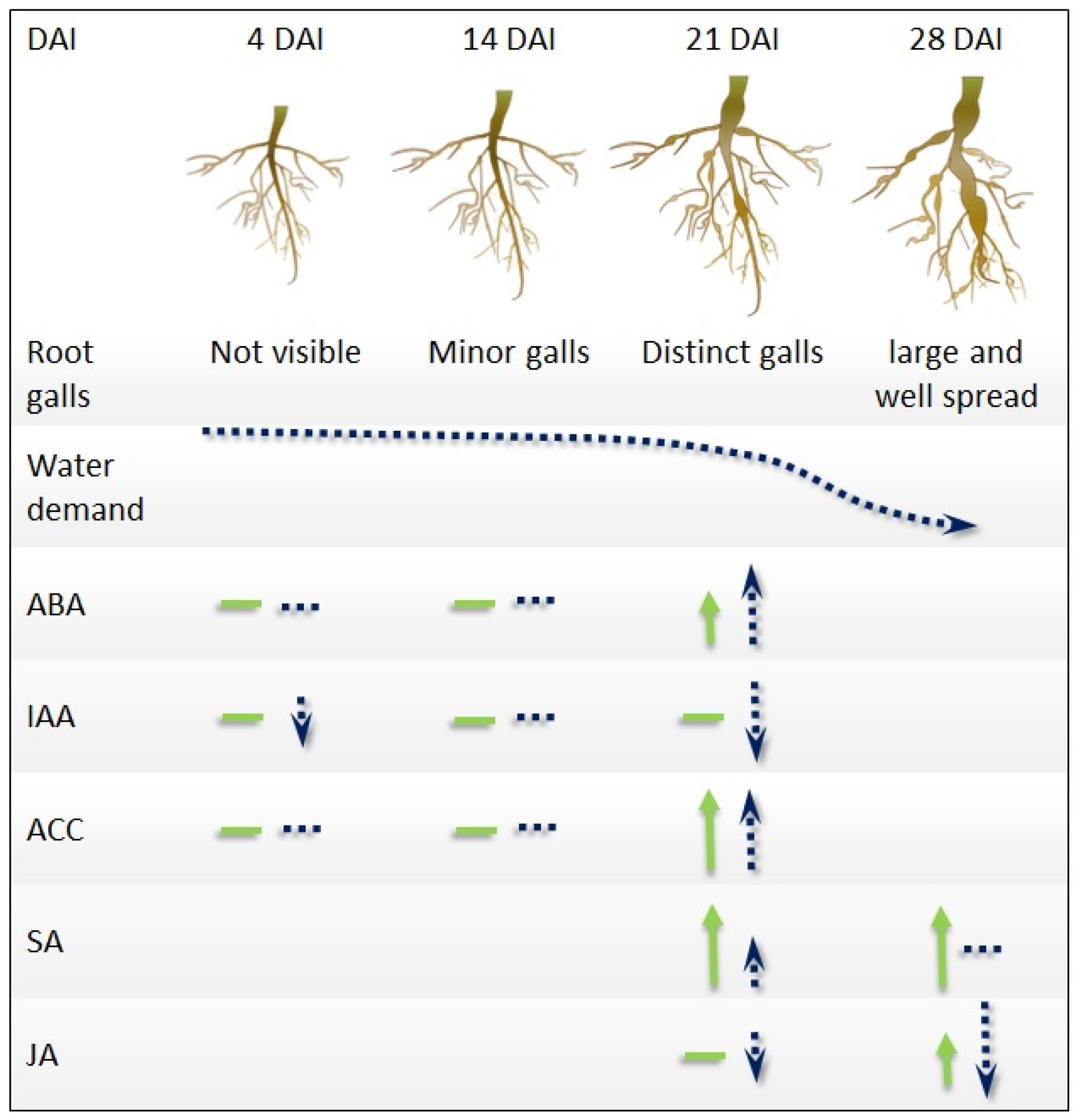 Plants 12 02899 g007