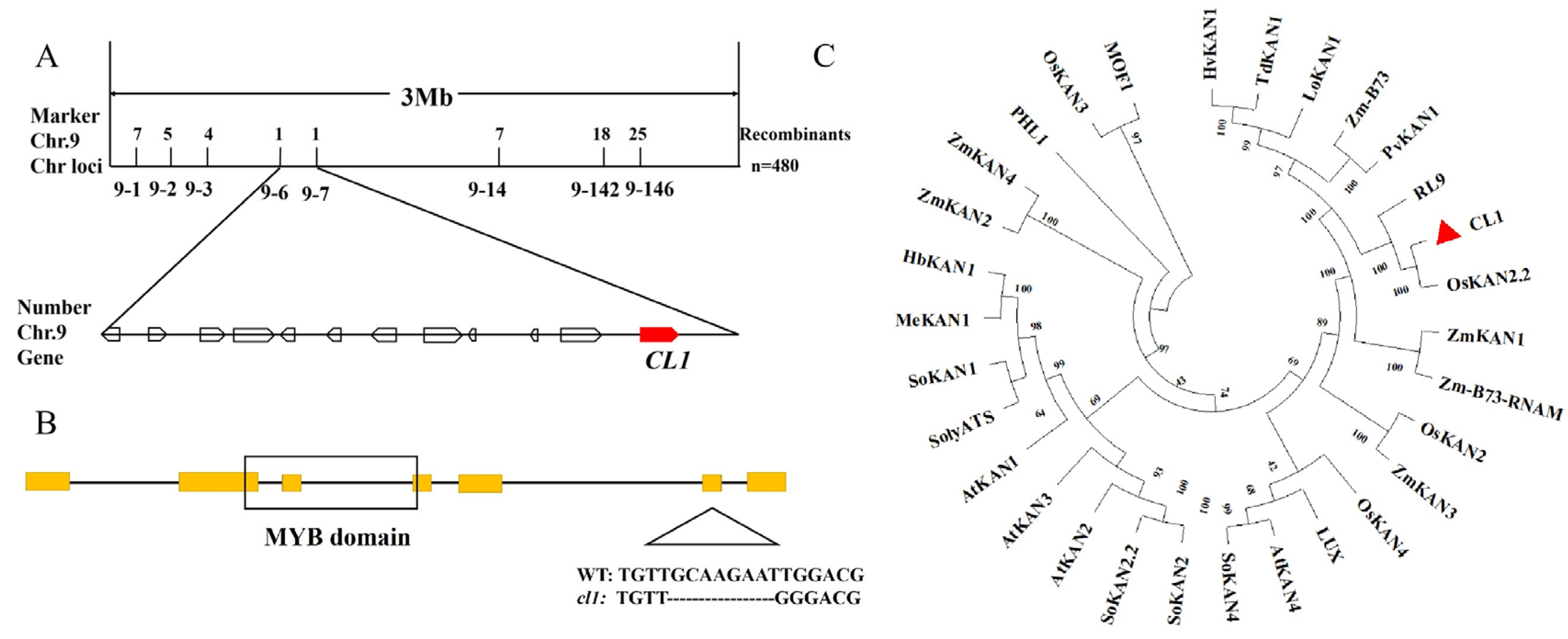 Plants 12 03127 g003