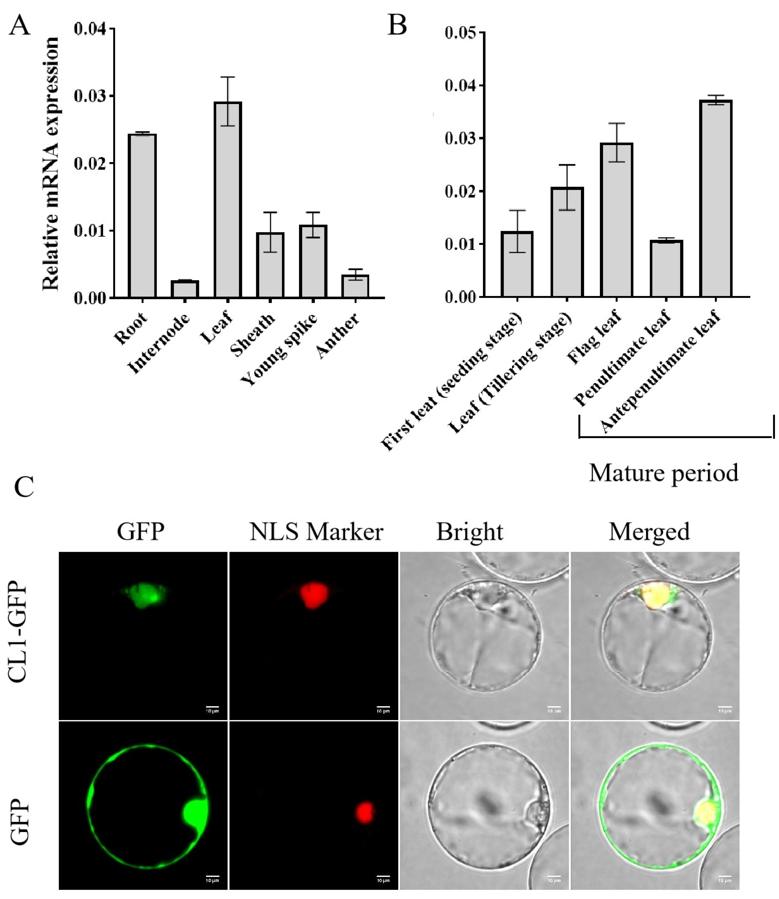 Plants 12 03127 g004