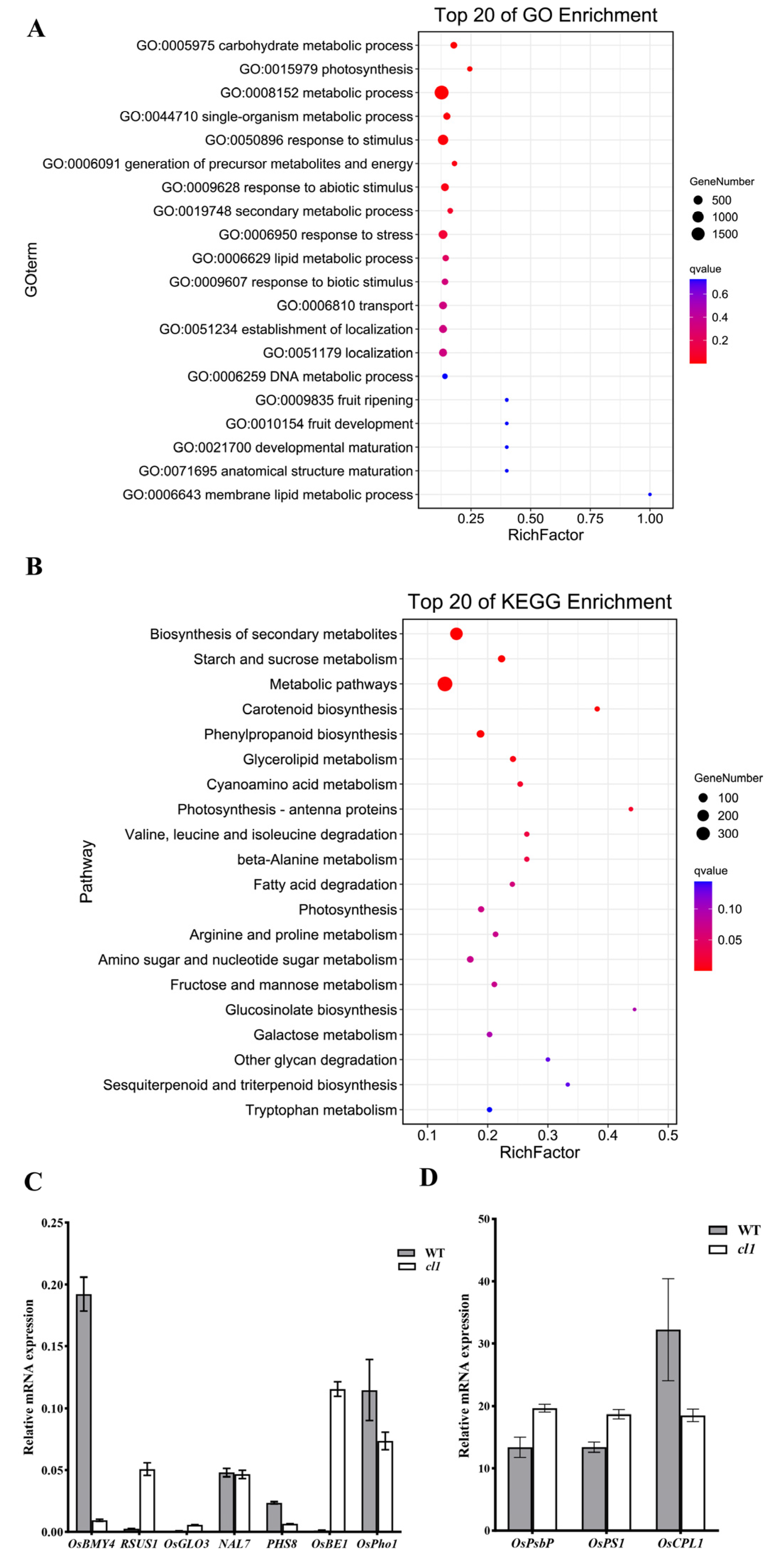 Plants 12 03127 g005
