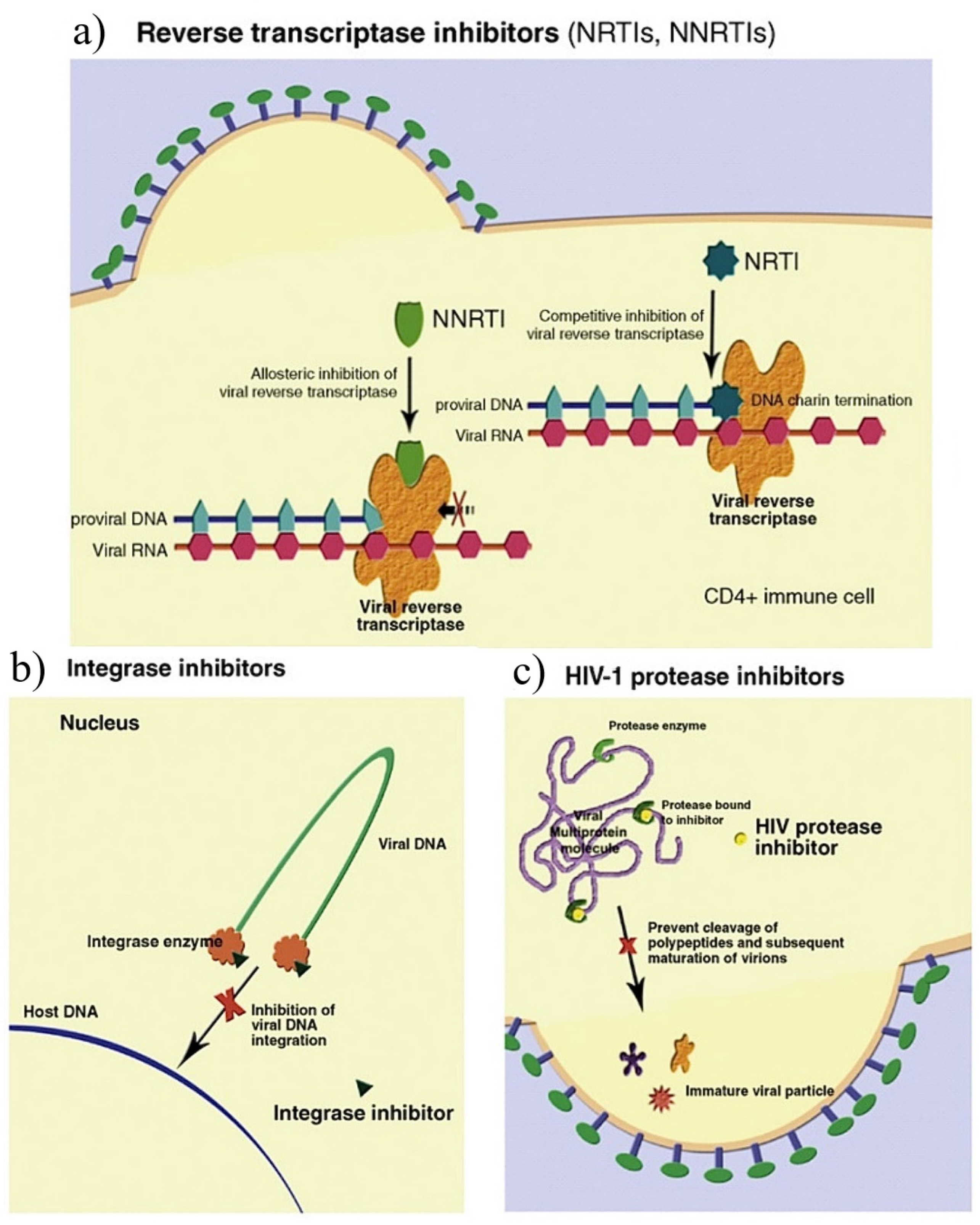 Plants 12 03235 g003