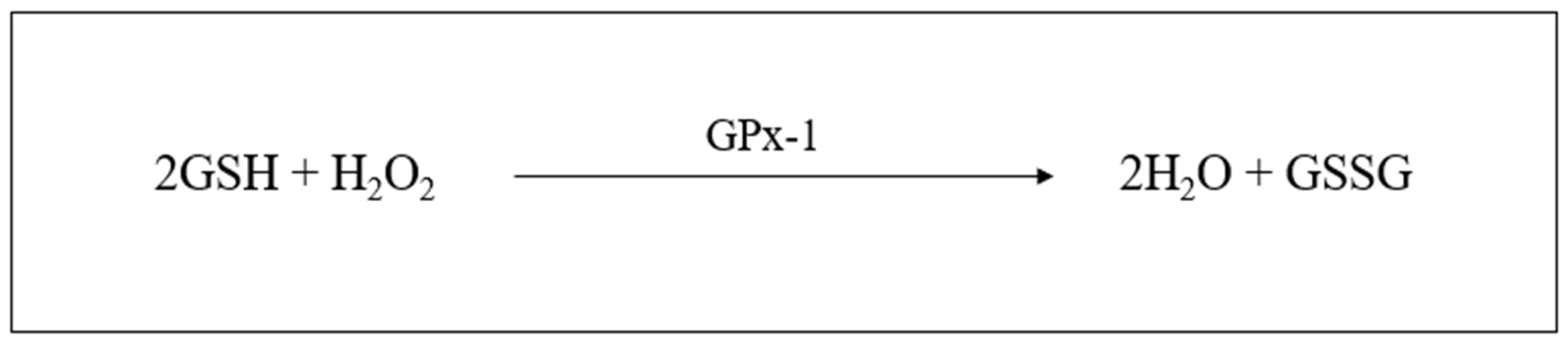 Plants 12 03235 g007