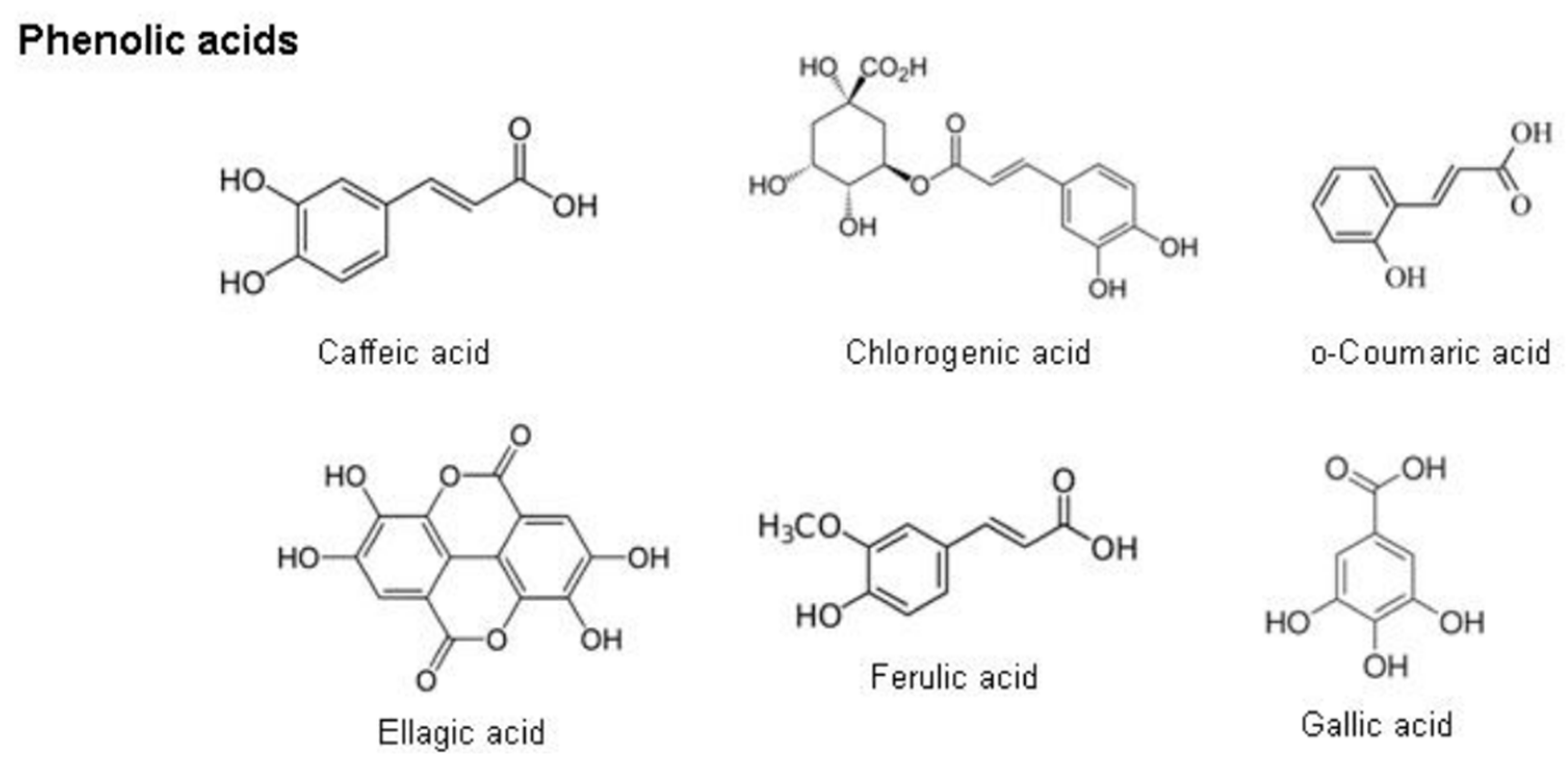 Plants 12 03235 g014