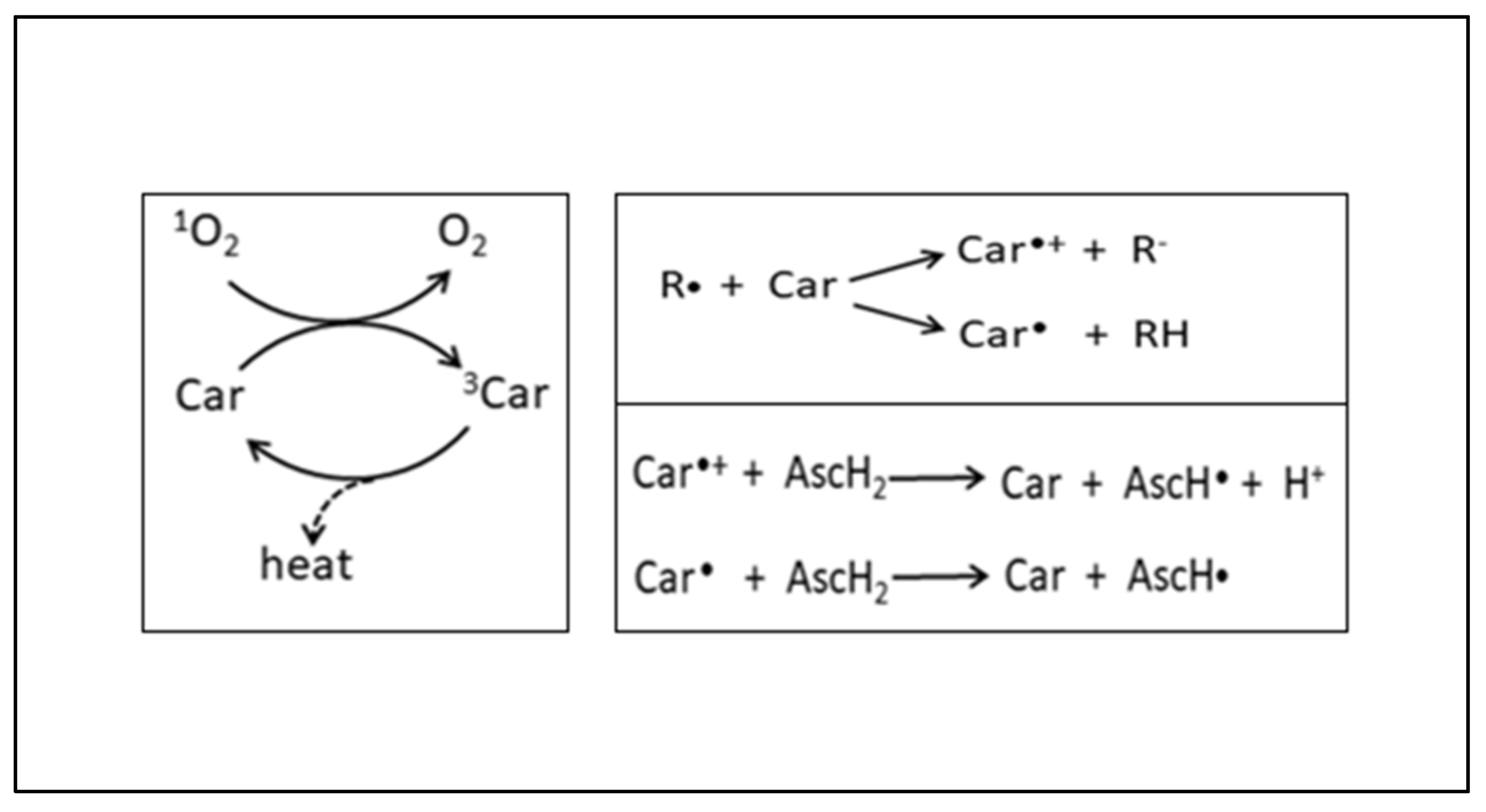 Plants 12 03235 g017