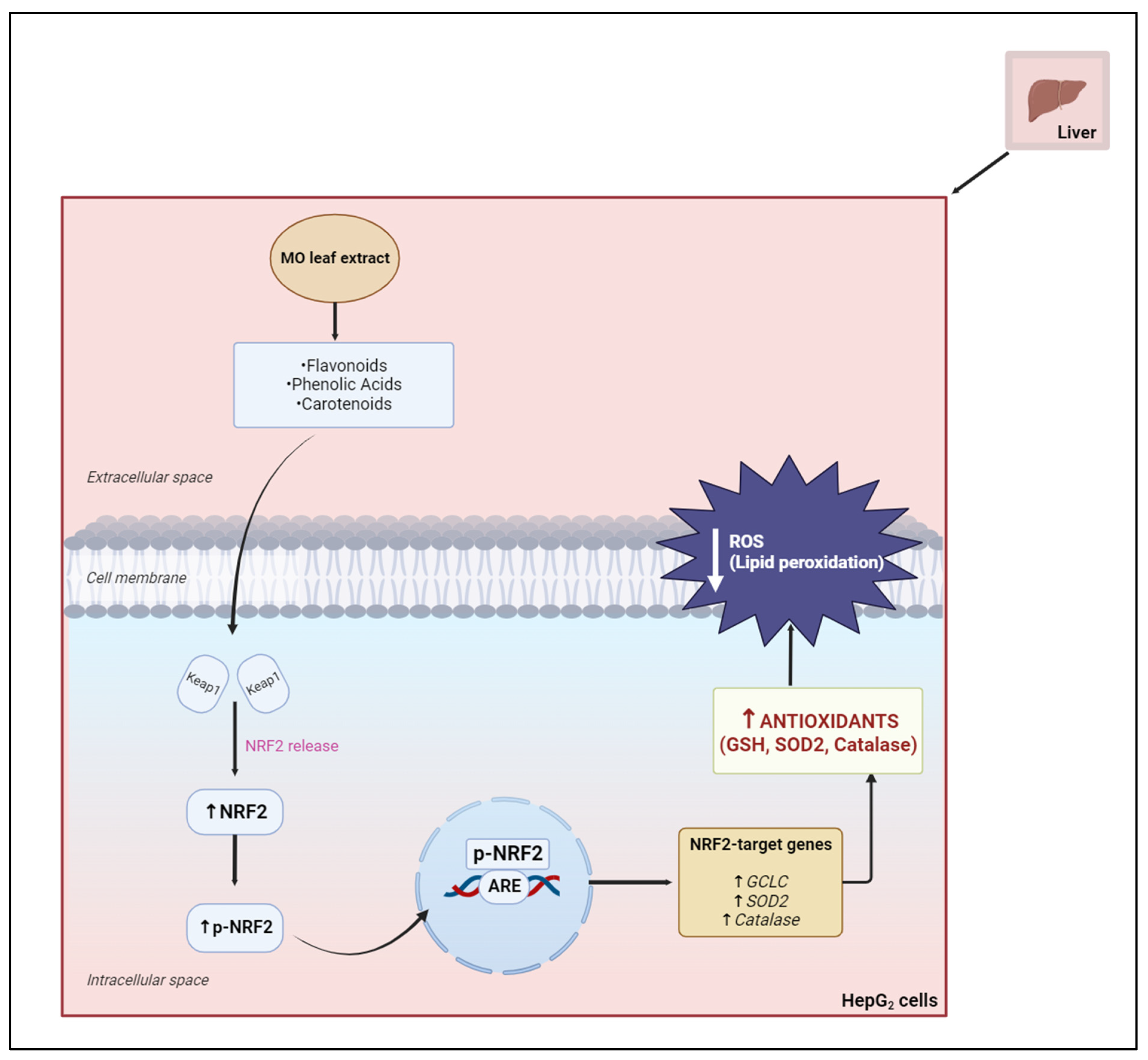 Plants 12 03235 g018