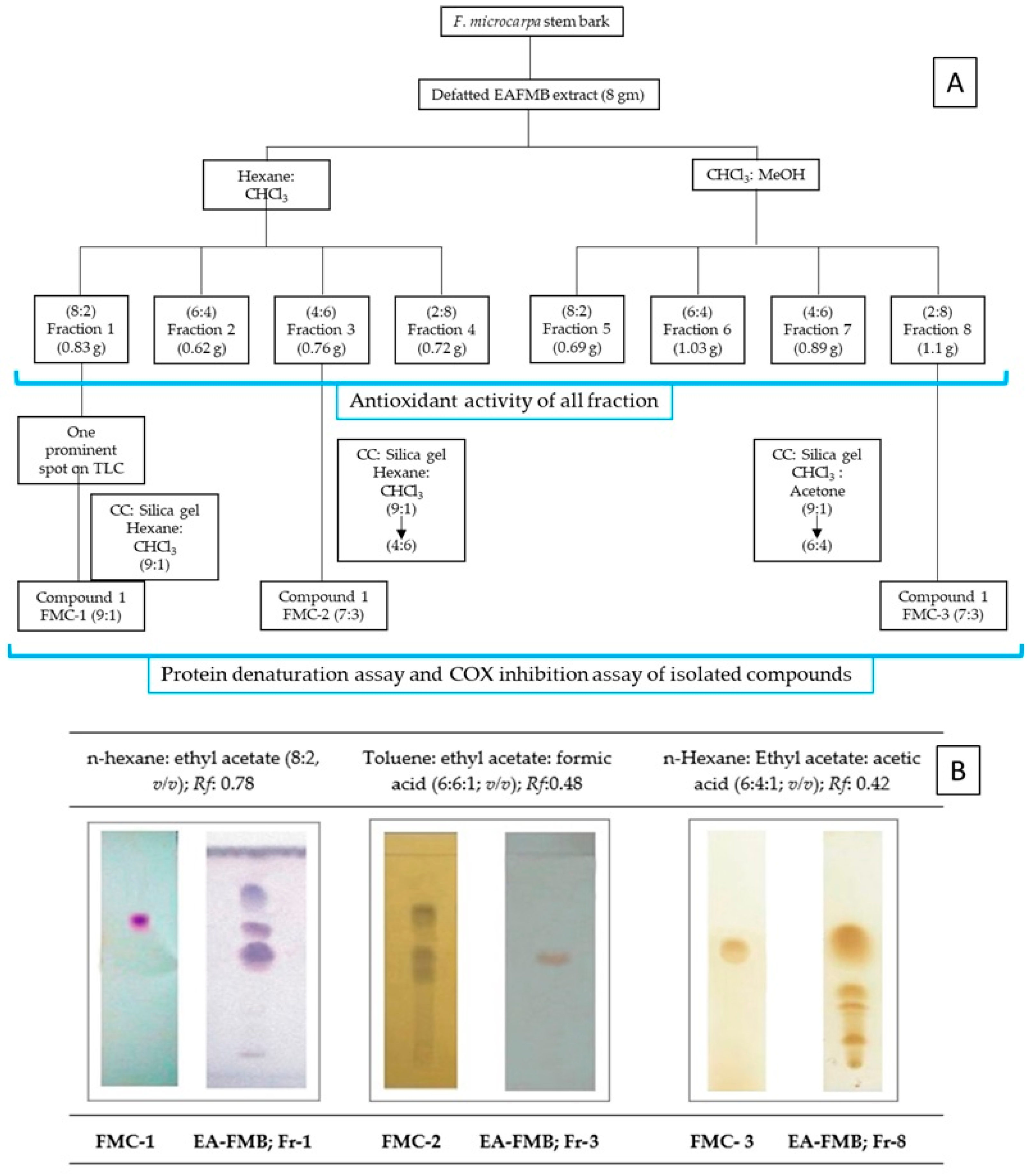 Plants 12 03248 g002