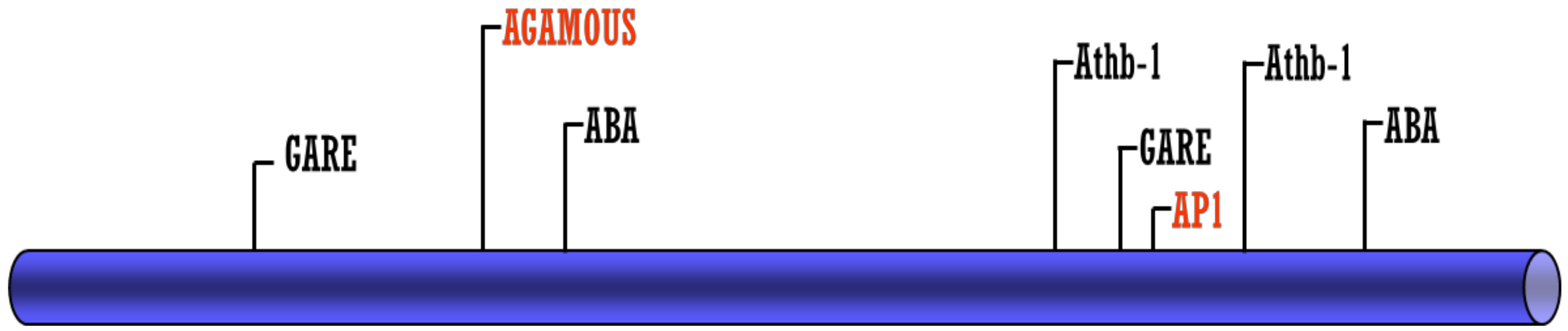 Plants 12 03322 g001