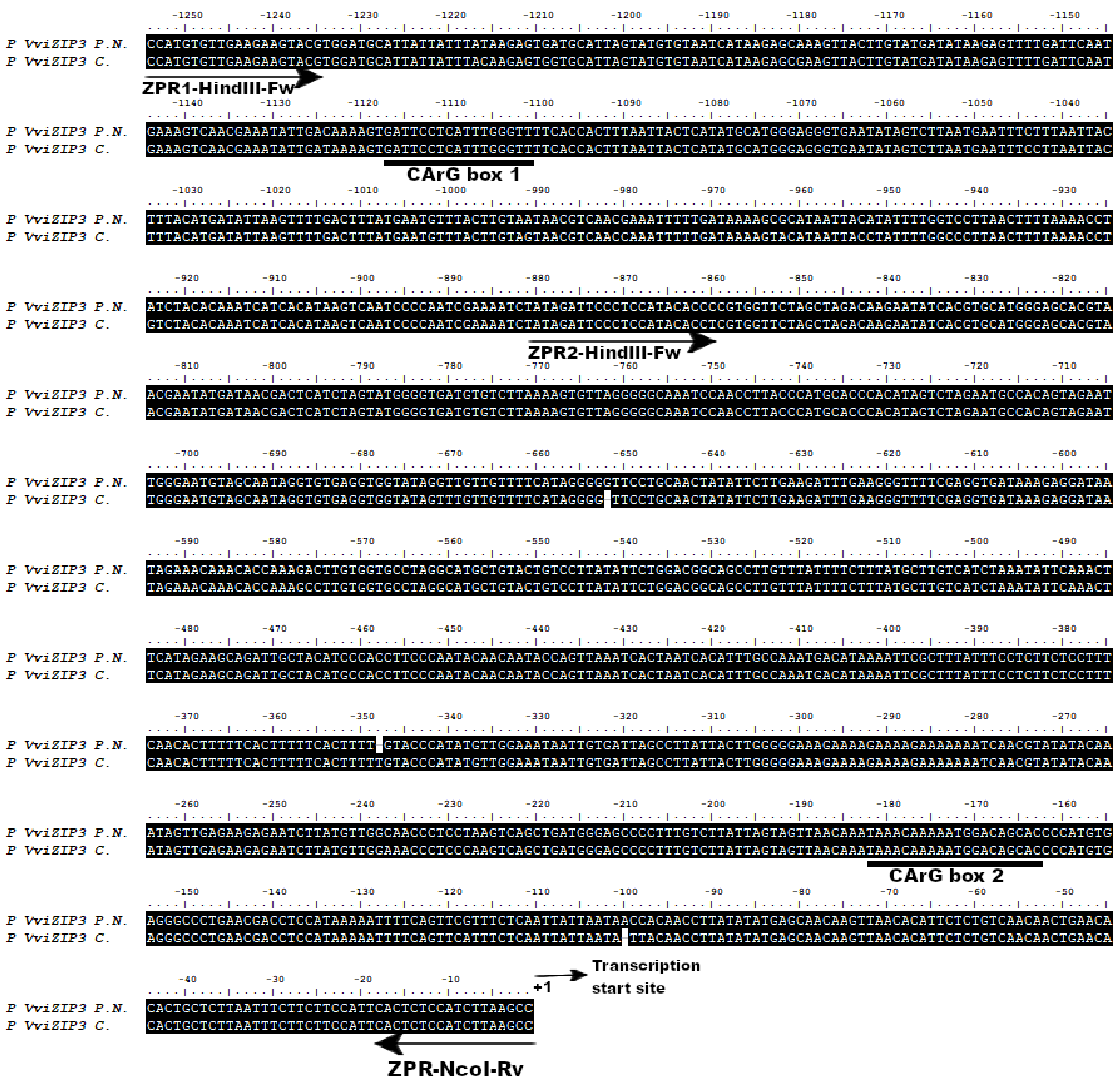 Plants 12 03322 g002