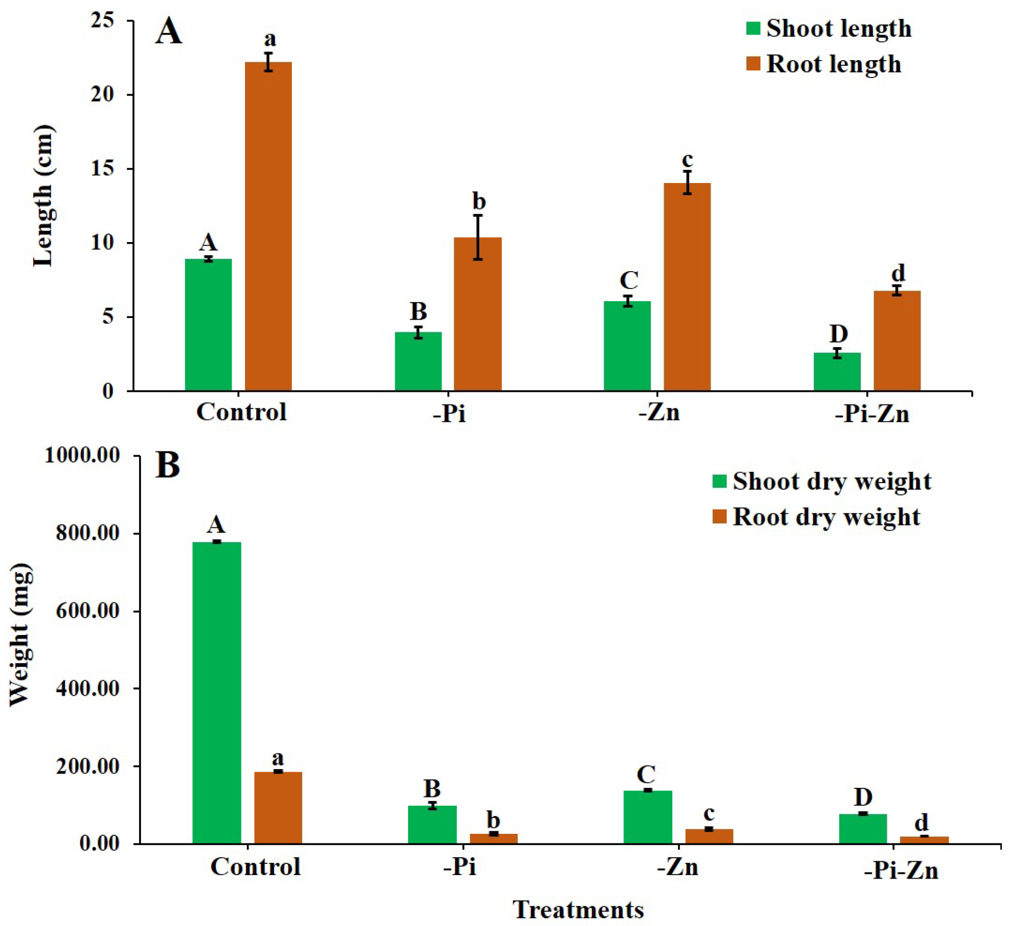 Plants 12 03378 g001