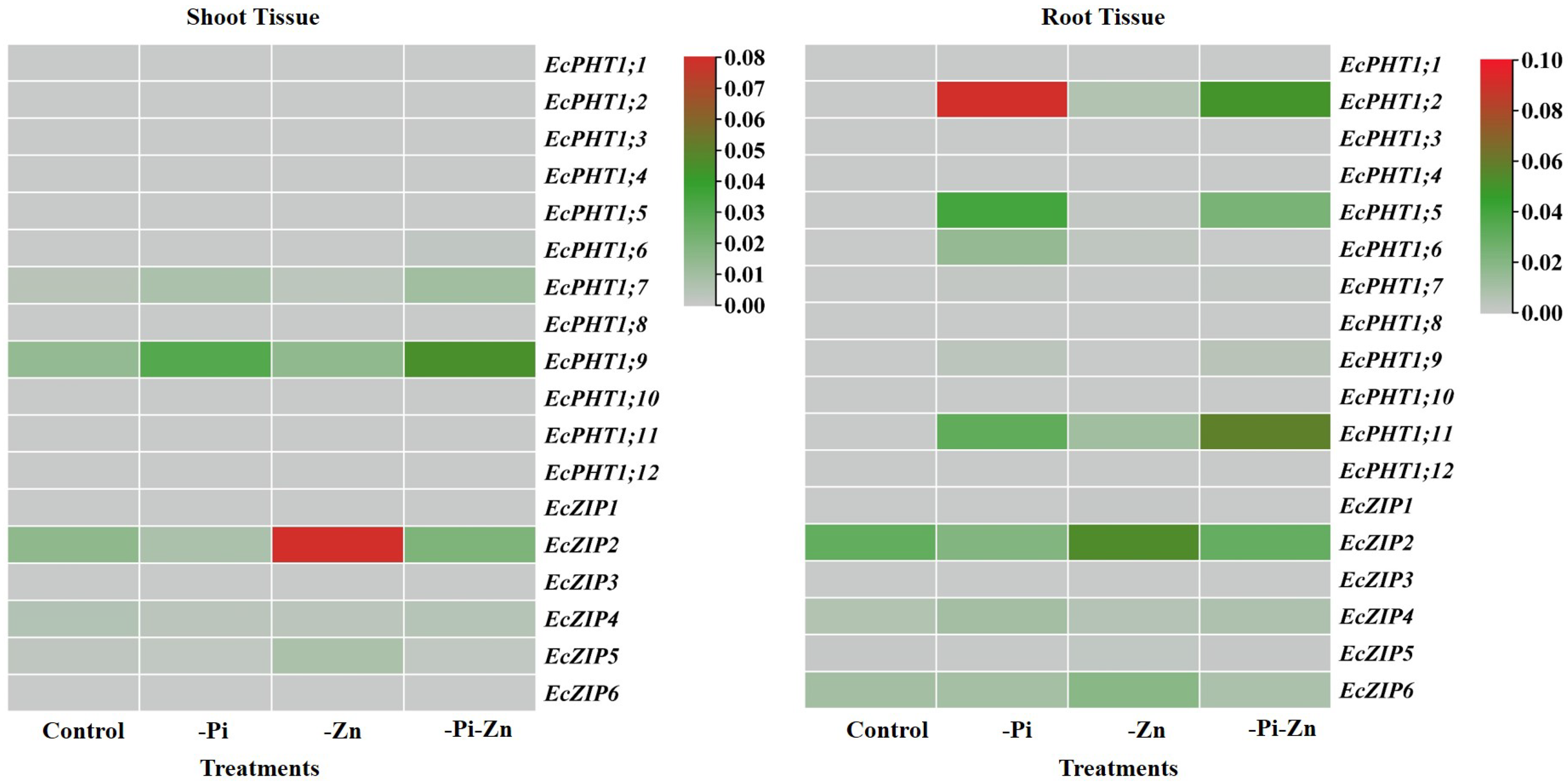 Plants 12 03378 g004