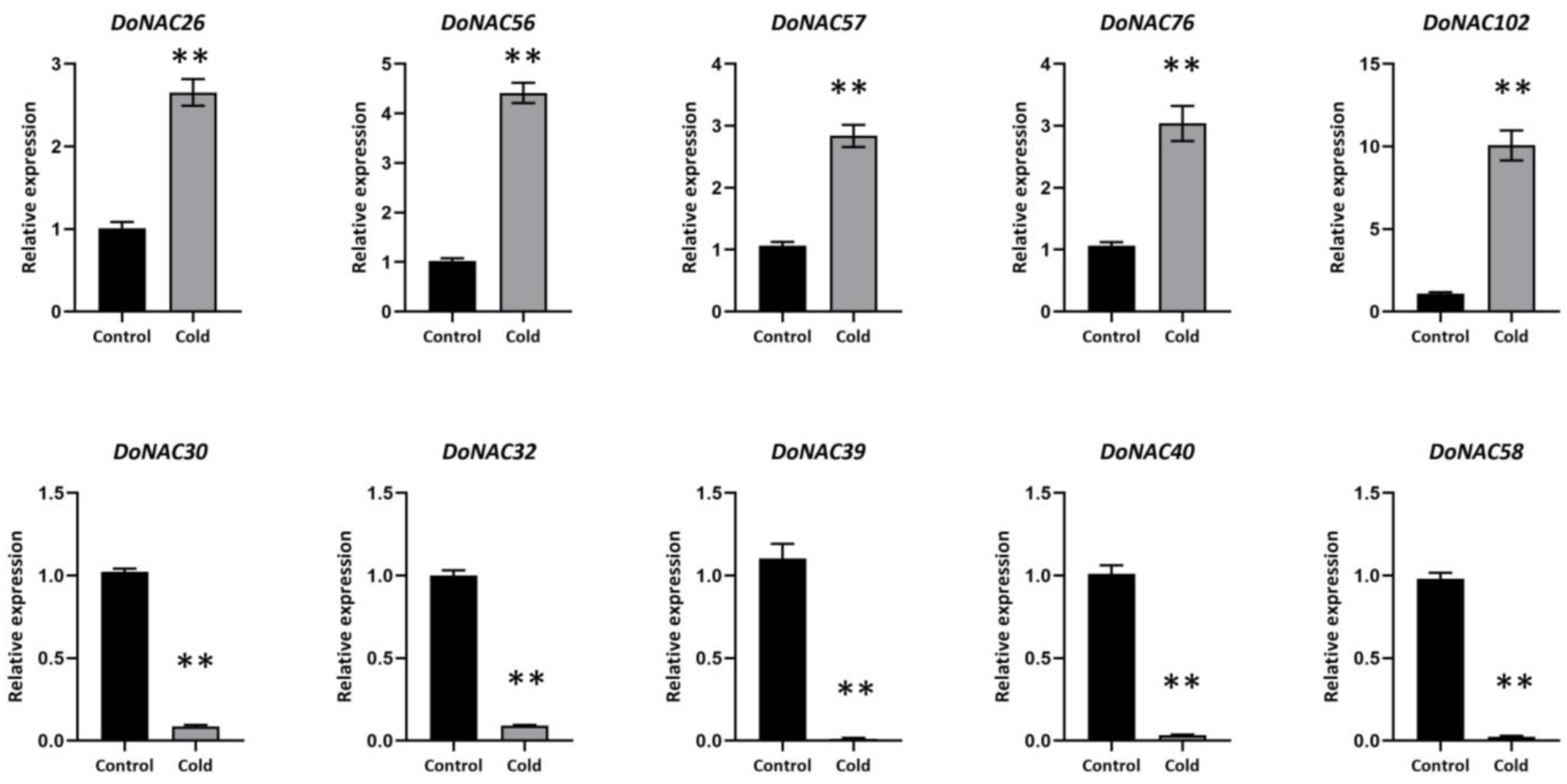 Plants 12 03626 g007