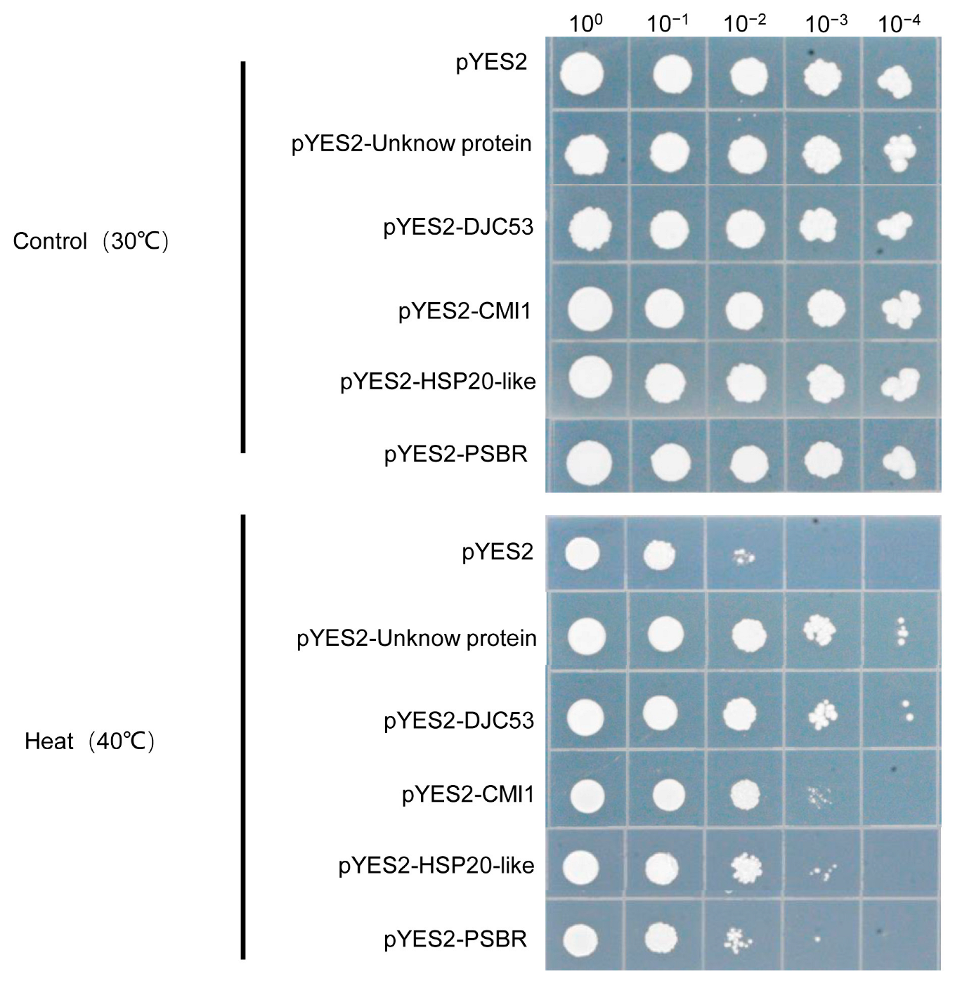 Plants 12 03712 g005
