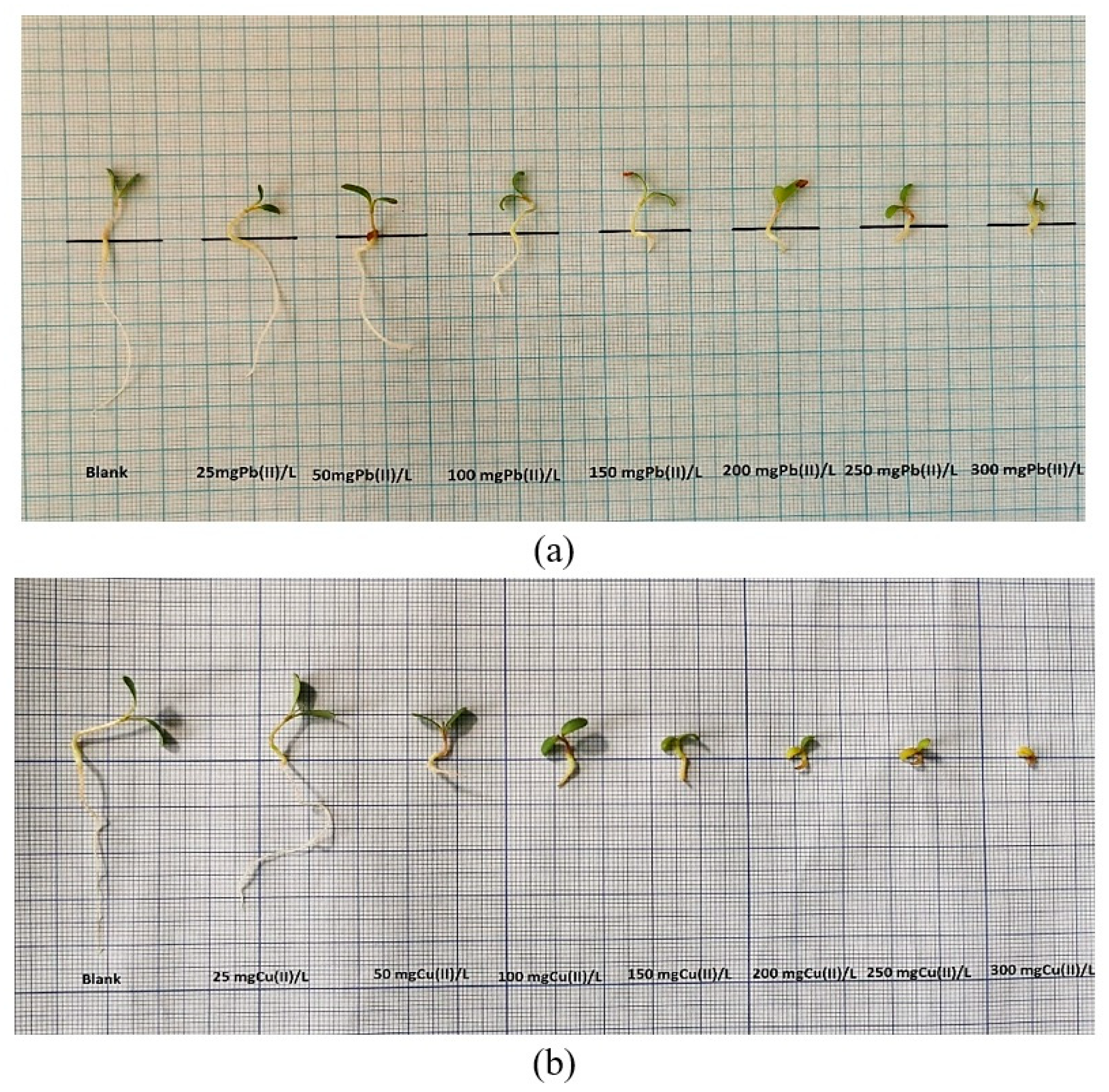 Plants 12 03754 g005