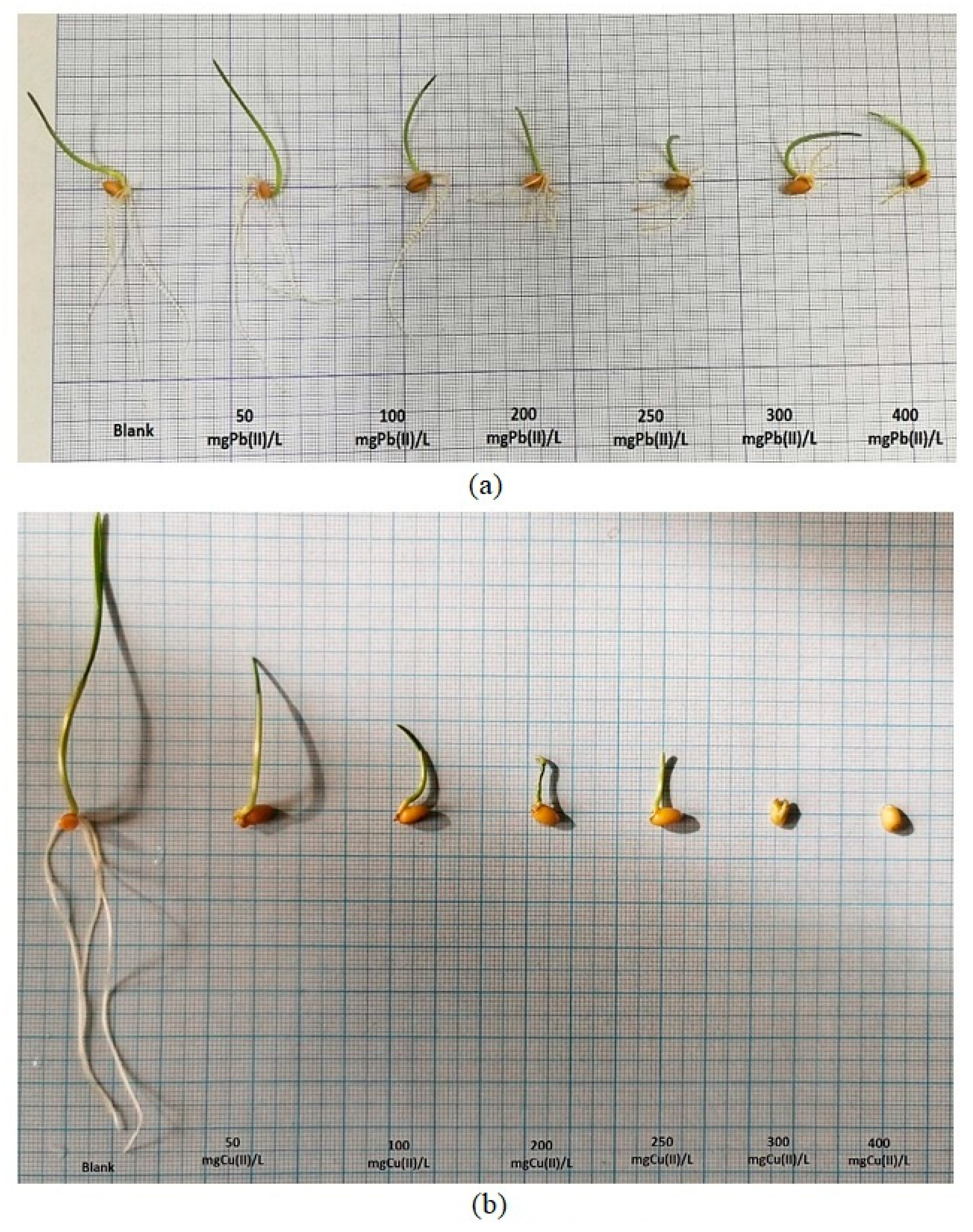 Plants 12 03754 g009