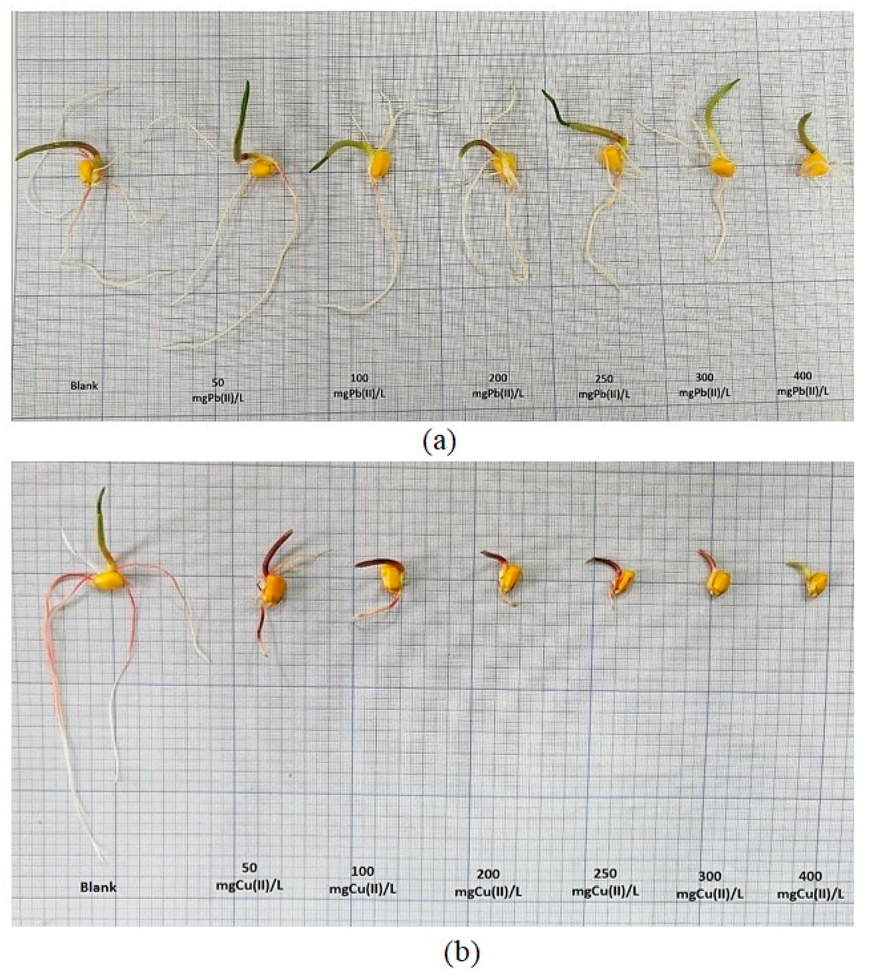 Plants 12 03754 g014