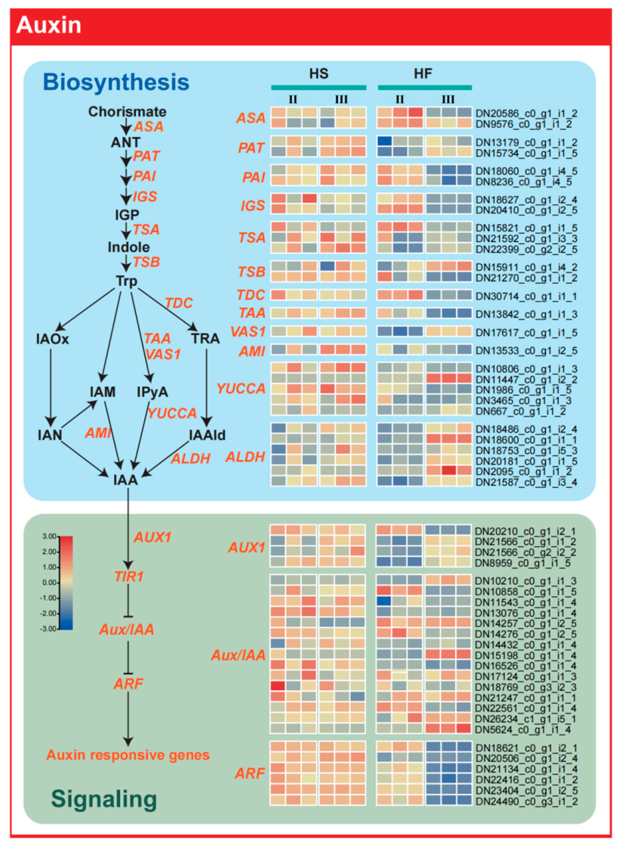 Plants 12 03804 g007