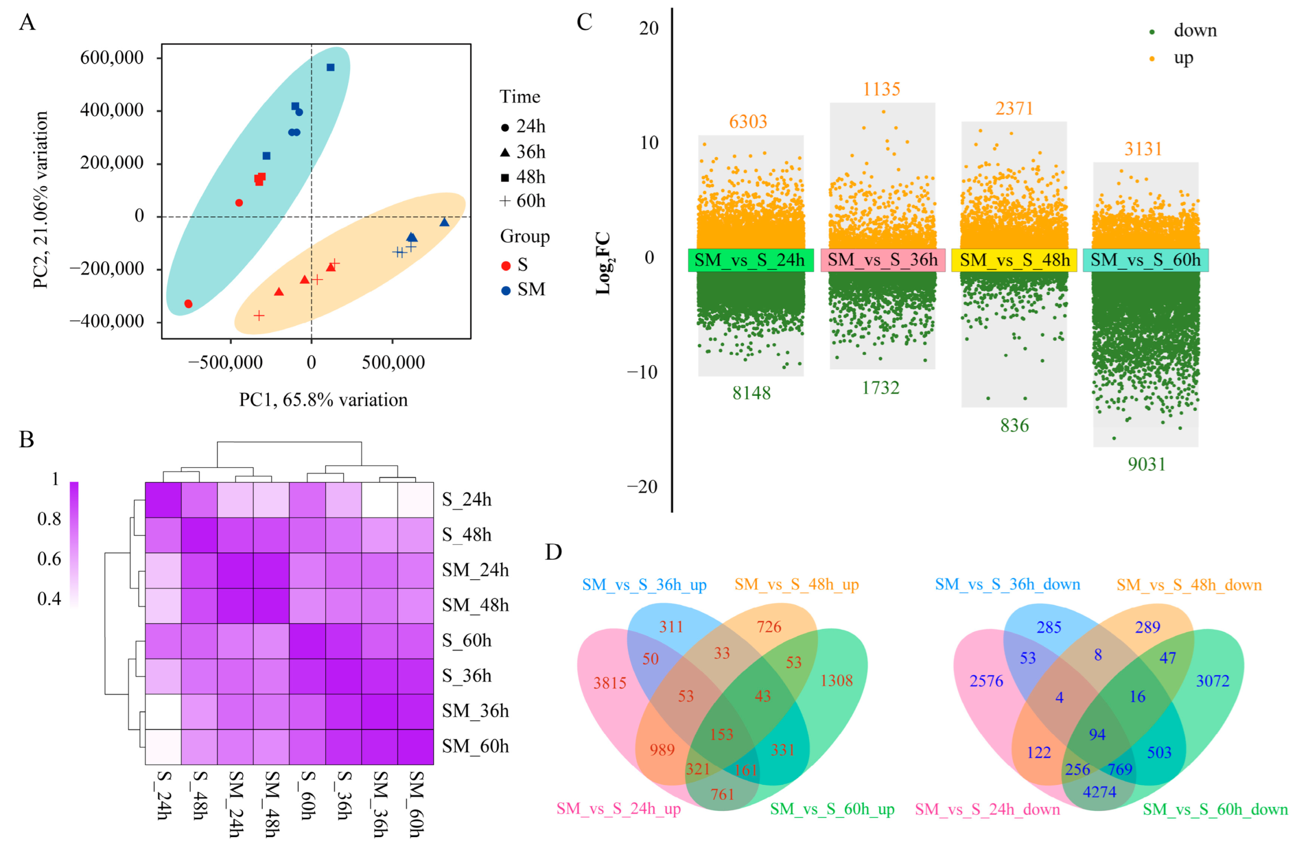 Plants 12 03984 g004