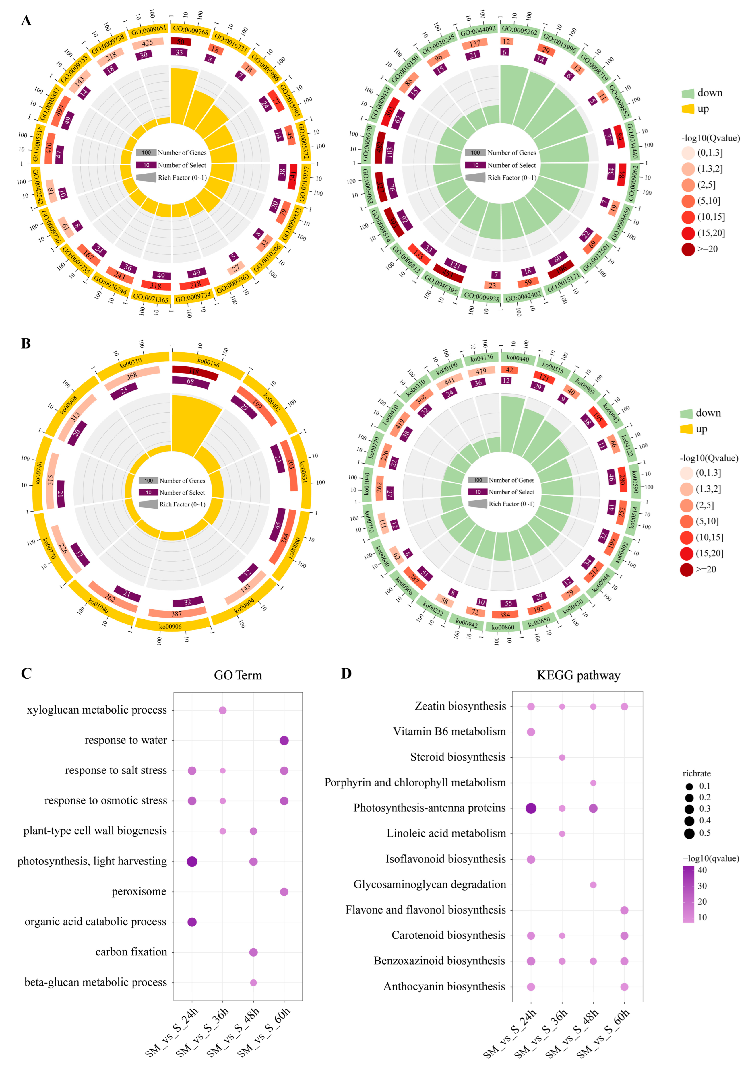 Plants 12 03984 g005
